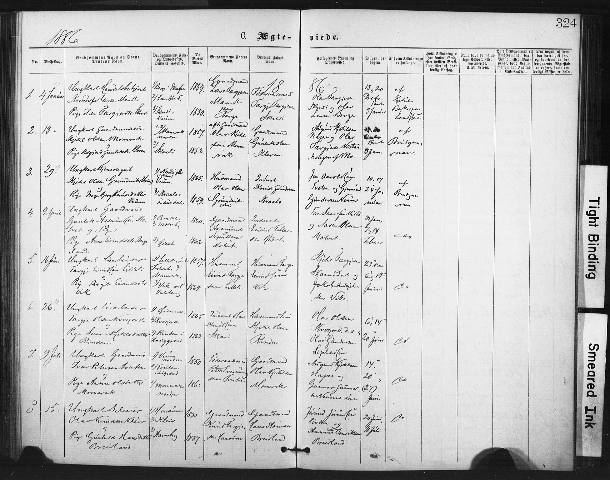 Fyresdal kirkebøker, SAKO/A-263/F/Fa/L0006: Parish register (official) no. I 6, 1872-1886, p. 324