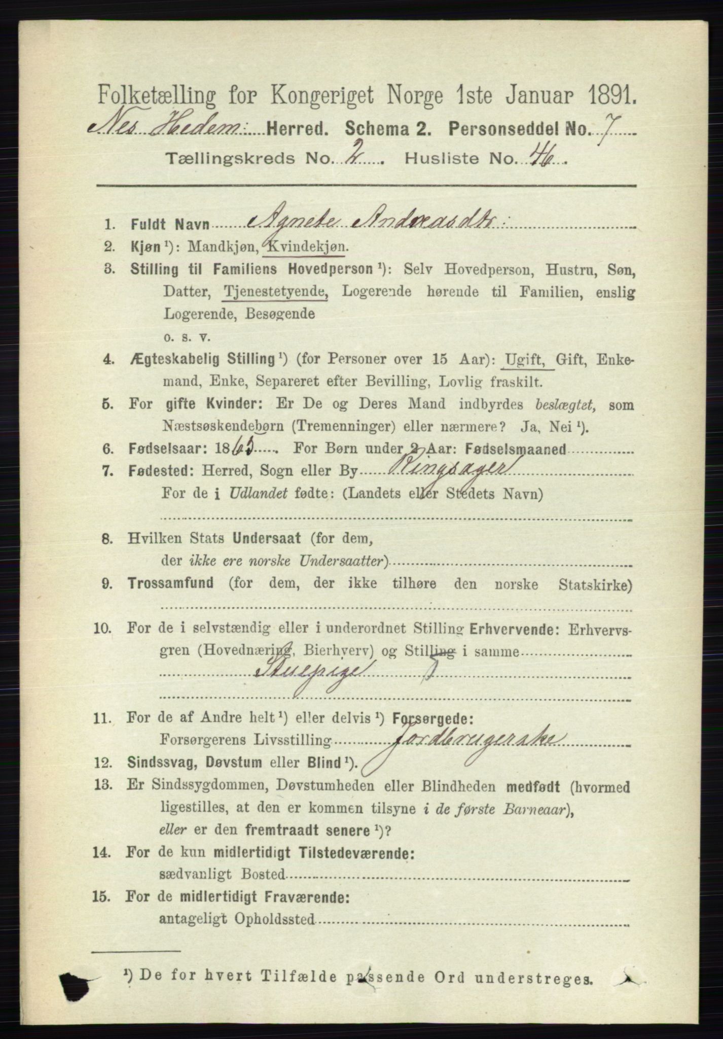 RA, 1891 census for 0411 Nes, 1891, p. 1407