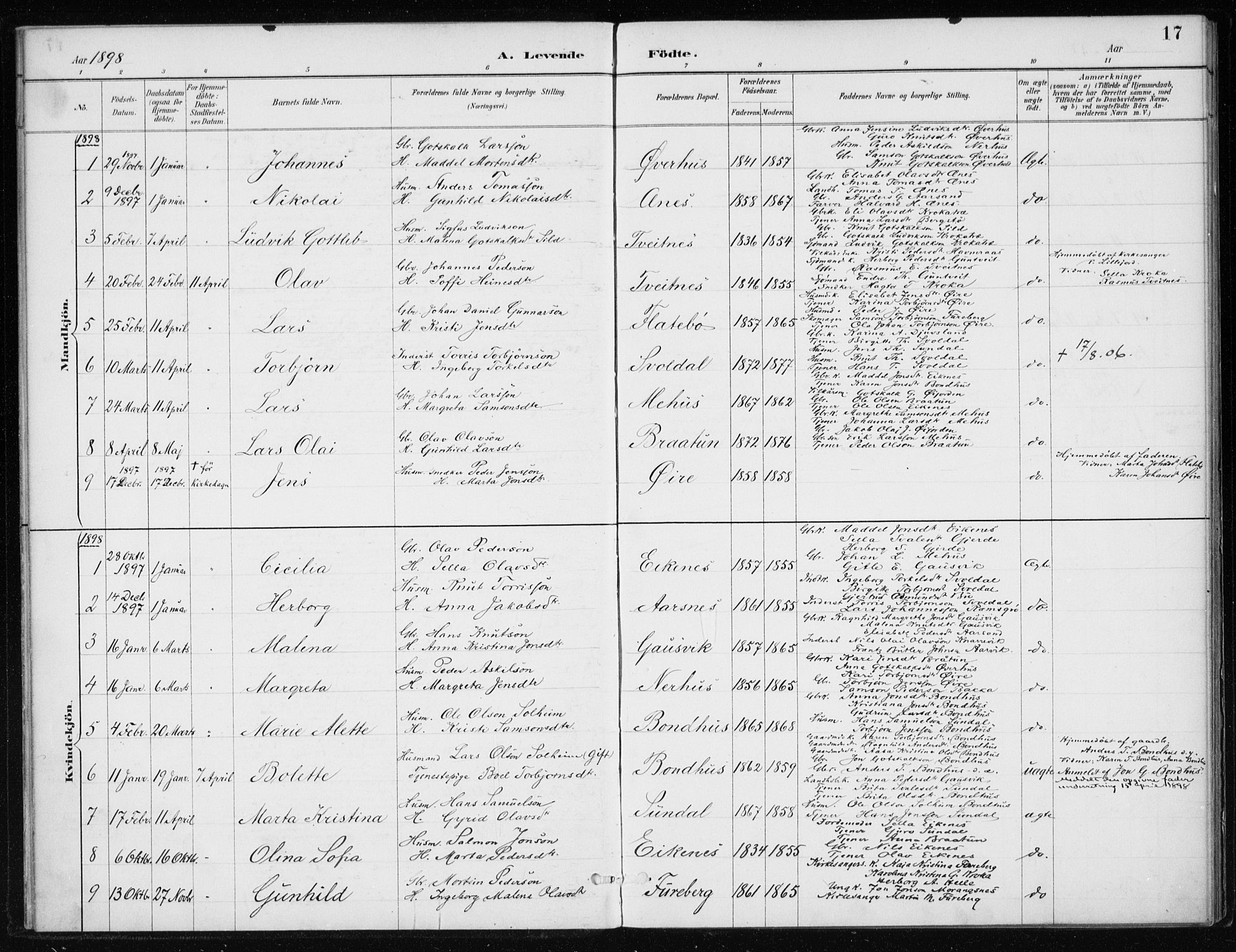 Kvinnherad sokneprestembete, SAB/A-76401/H/Haa: Parish register (official) no. F 1, 1887-1912, p. 17