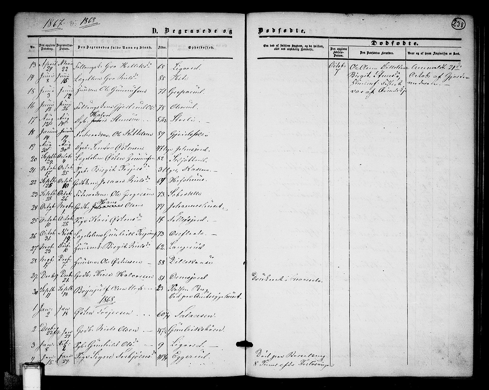 Tinn kirkebøker, AV/SAKO-A-308/G/Ga/L0002: Parish register (copy) no. I 2, 1851-1883, p. 238