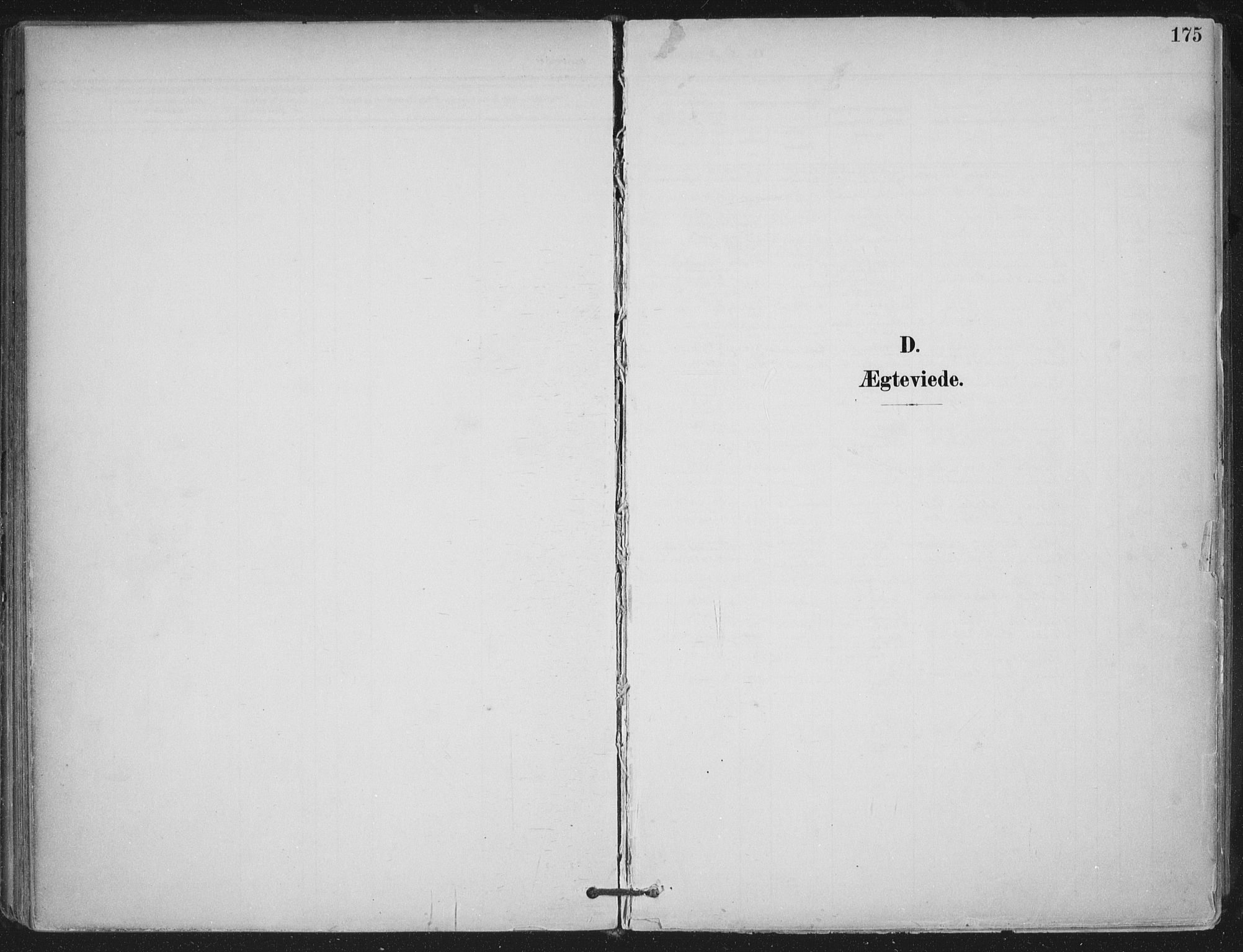 Trøgstad prestekontor Kirkebøker, SAO/A-10925/F/Fa/L0011: Parish register (official) no. I 11, 1899-1919, p. 175