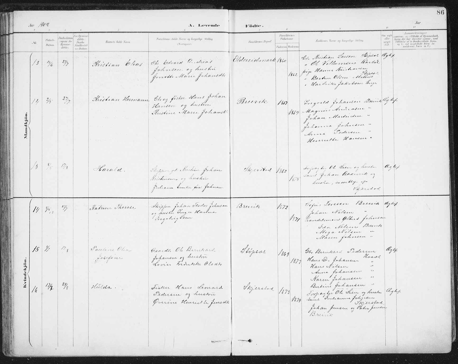 Ministerialprotokoller, klokkerbøker og fødselsregistre - Nordland, SAT/A-1459/852/L0741: Parish register (official) no. 852A11, 1894-1917, p. 86