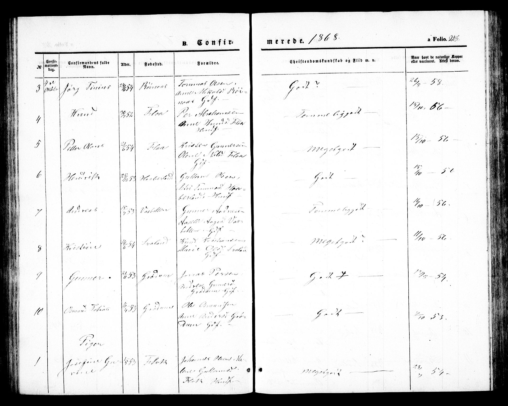 Birkenes sokneprestkontor, AV/SAK-1111-0004/F/Fb/L0002: Parish register (copy) no. B 2, 1849-1876, p. 228