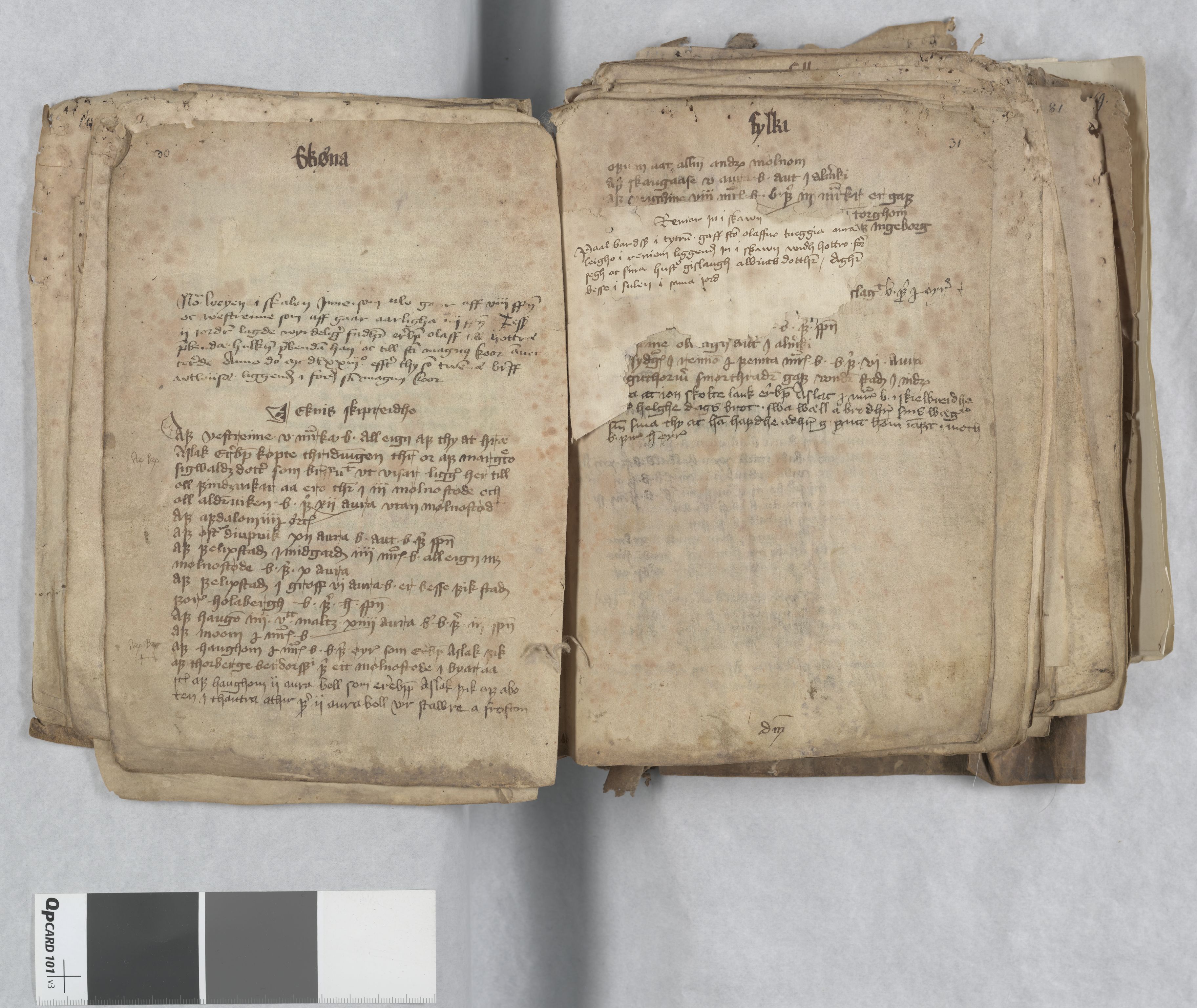 Riksarkivets diplomsamling, AV/RA-EA-5965/F13/F13c/L0001a/0001: NRA dipl. München papir, nr. 4292 Aslak Bolts jordebok. / 4294: Aslak Bolts jordebok, 1430-1439, p. 30-31