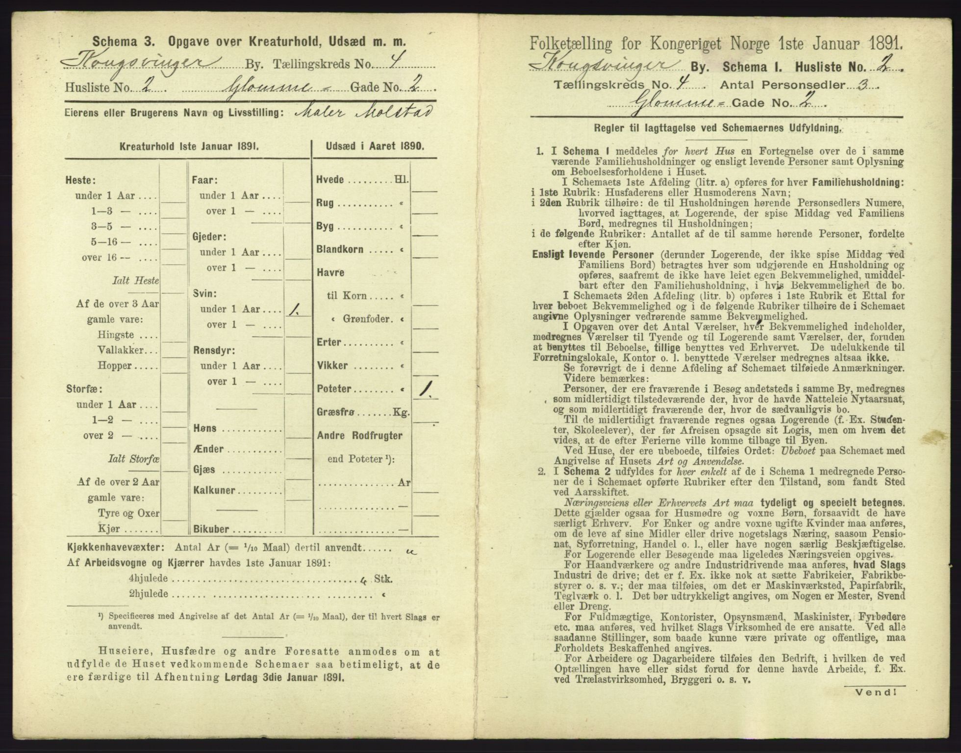 RA, 1891 census for 0402 Kongsvinger, 1891, p. 251