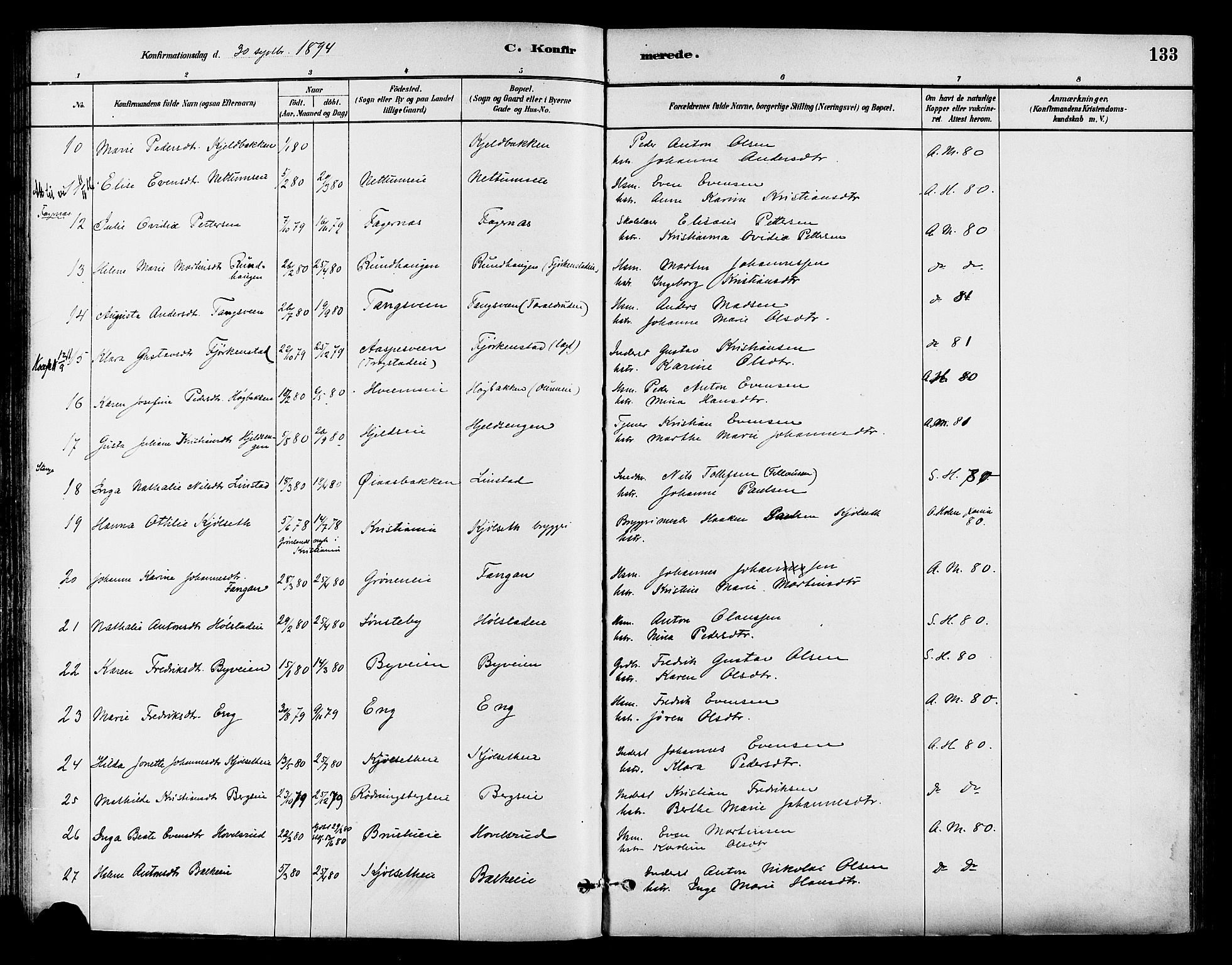 Østre Toten prestekontor, AV/SAH-PREST-104/H/Ha/Haa/L0007: Parish register (official) no. 7, 1881-1896, p. 133