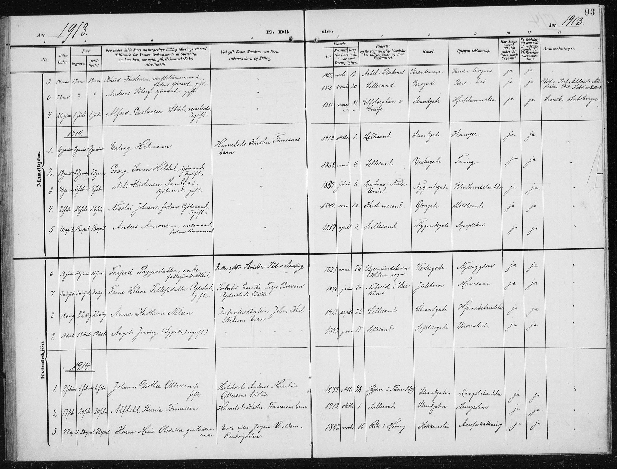 Vestre Moland sokneprestkontor, AV/SAK-1111-0046/F/Fb/Fba/L0002: Parish register (copy) no. B 2, 1904-1934, p. 93