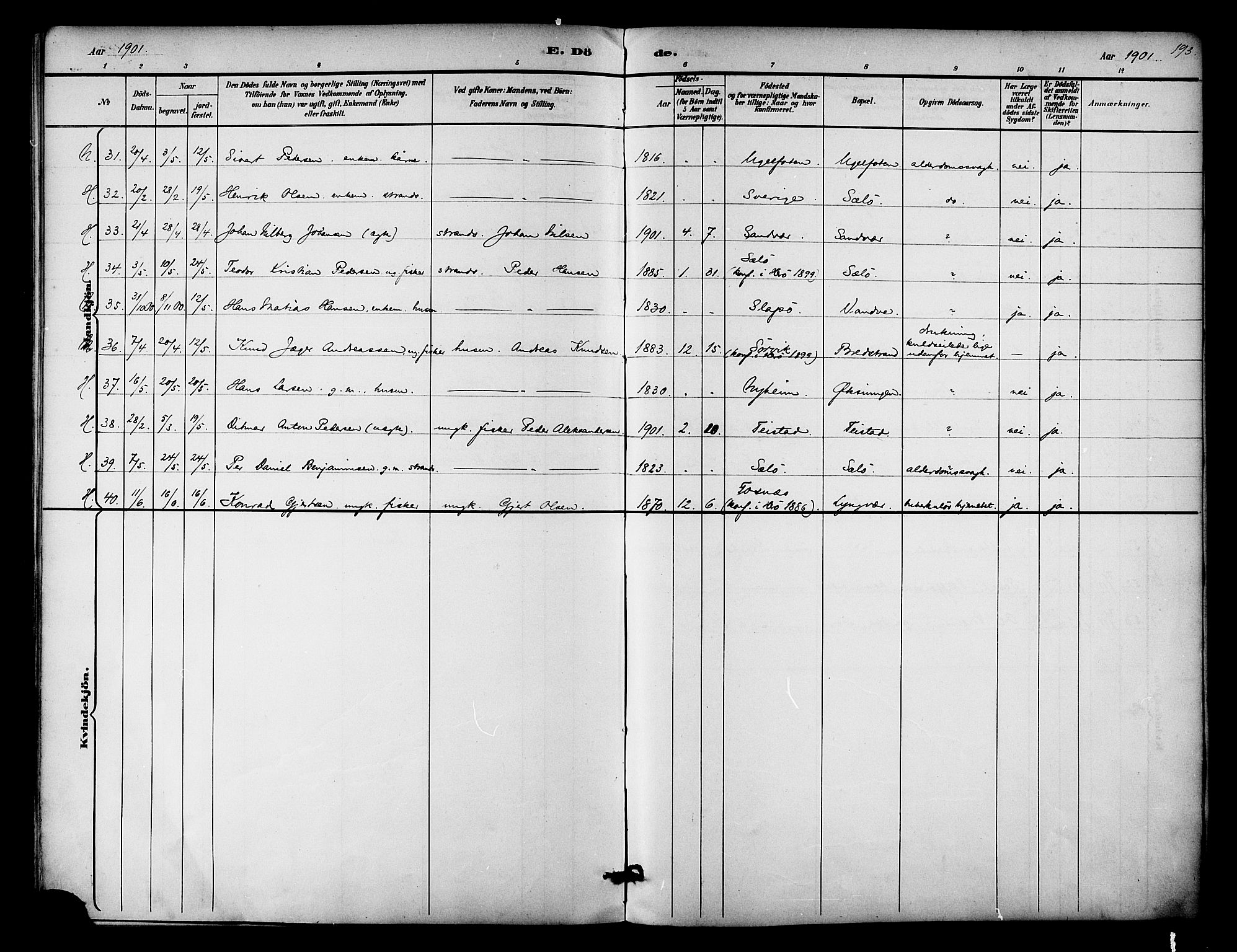 Ministerialprotokoller, klokkerbøker og fødselsregistre - Nordland, AV/SAT-A-1459/834/L0508: Parish register (official) no. 834A06, 1892-1901, p. 193