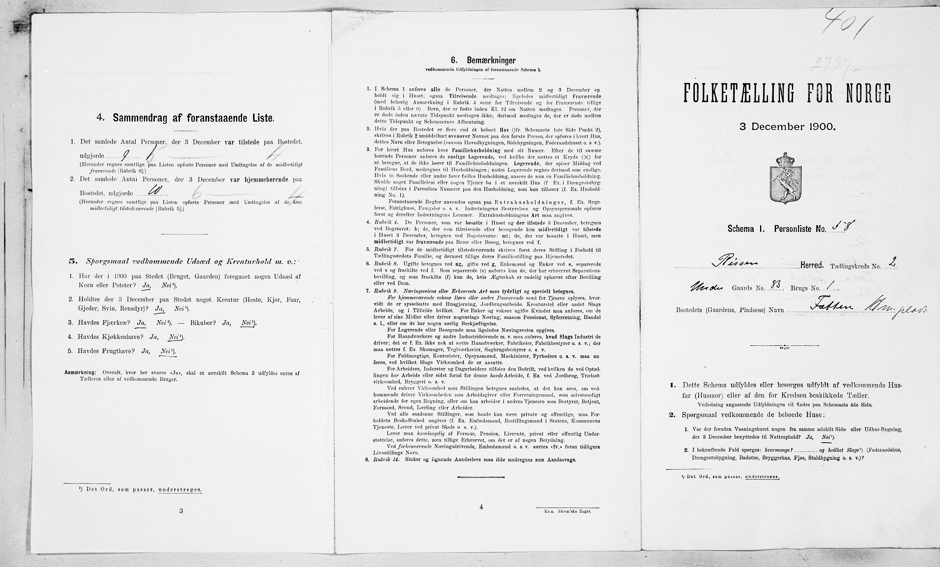 SAT, 1900 census for Rissa, 1900, p. 38