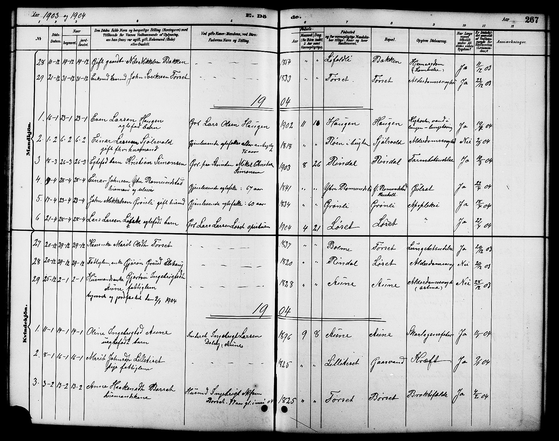 Ministerialprotokoller, klokkerbøker og fødselsregistre - Møre og Romsdal, AV/SAT-A-1454/598/L1078: Parish register (copy) no. 598C03, 1892-1909, p. 267