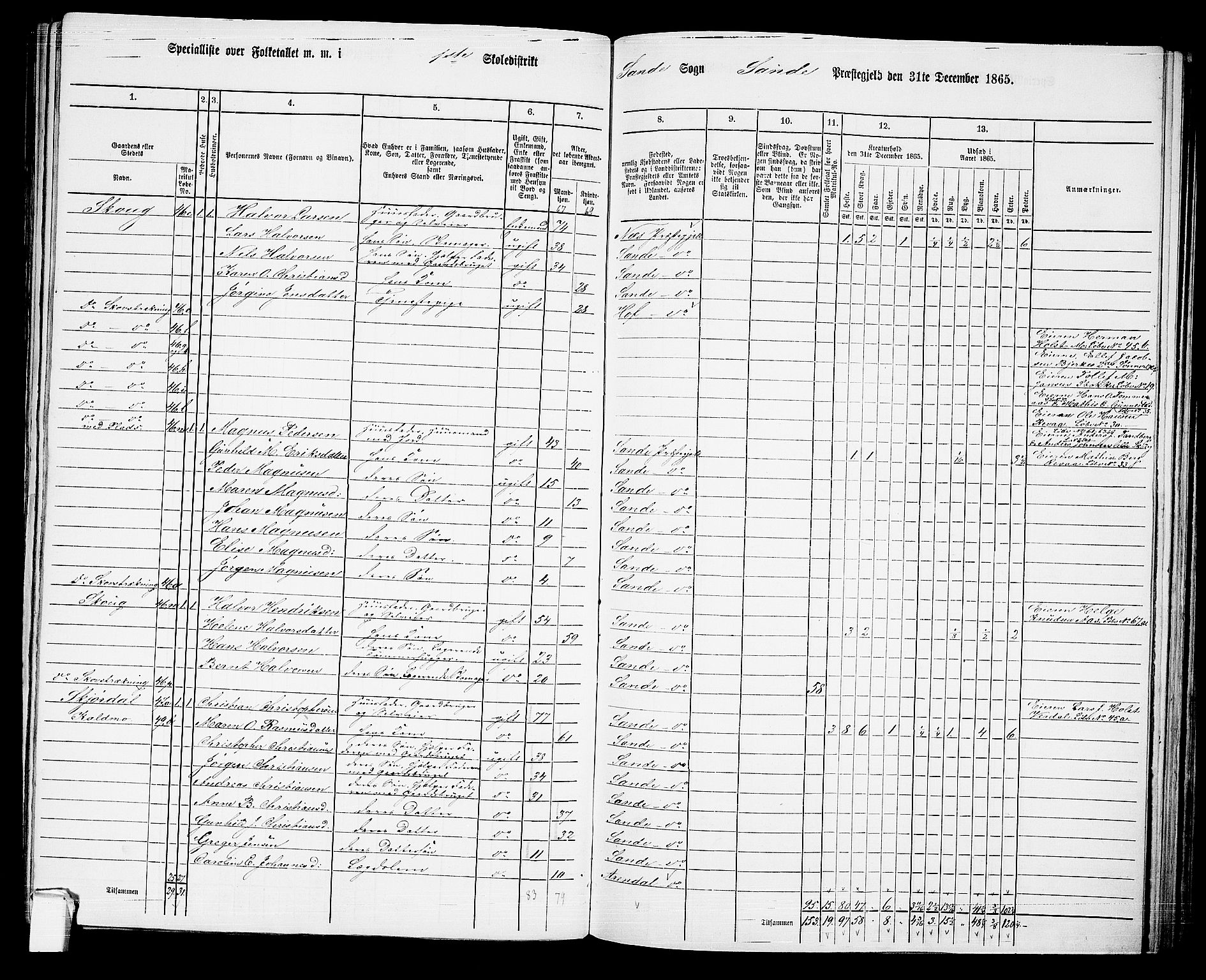 RA, 1865 census for Sande, 1865, p. 26