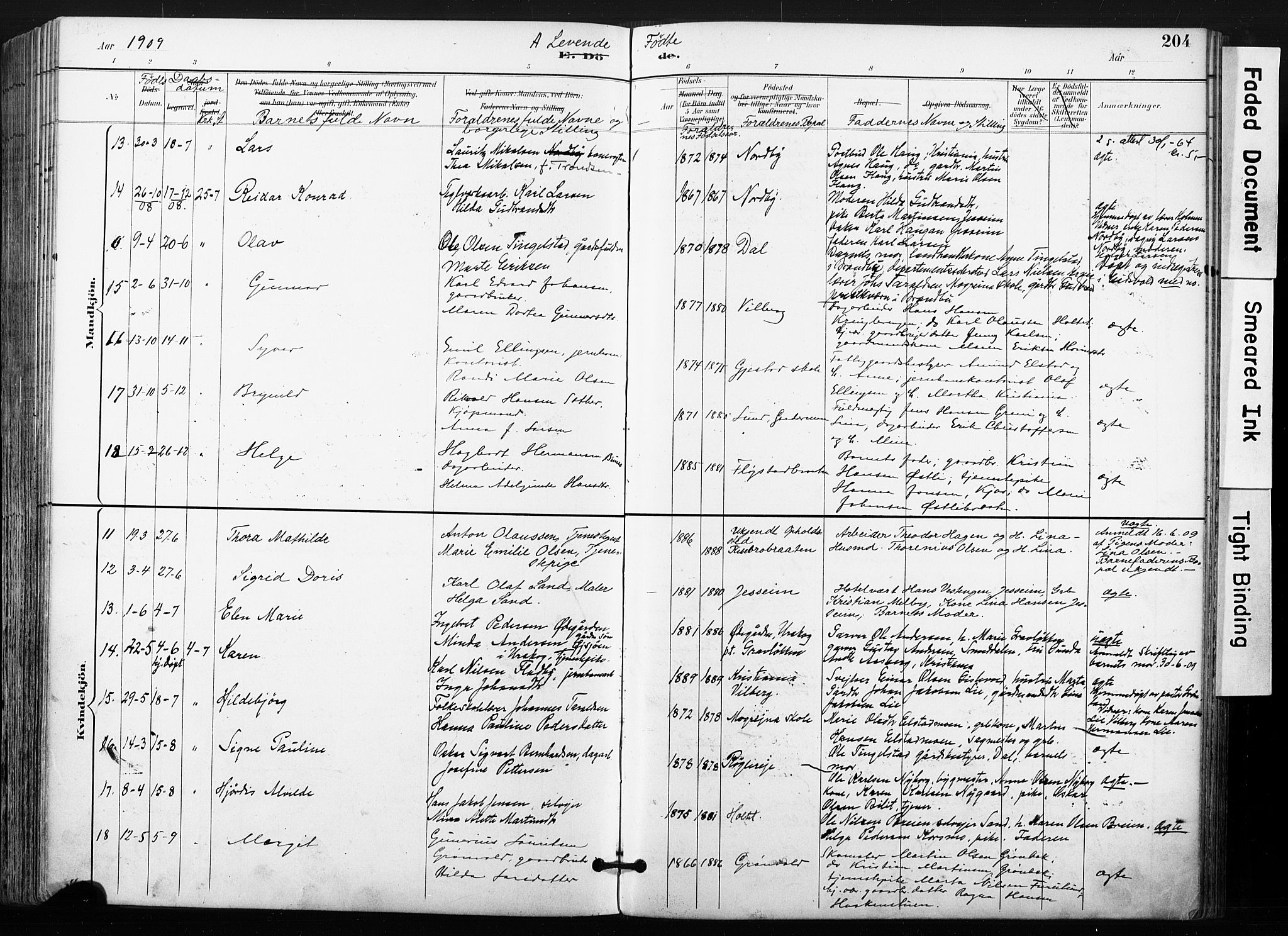 Ullensaker prestekontor Kirkebøker, AV/SAO-A-10236a/F/Fb/L0002: Parish register (official) no. II 2, 1894-1909, p. 204