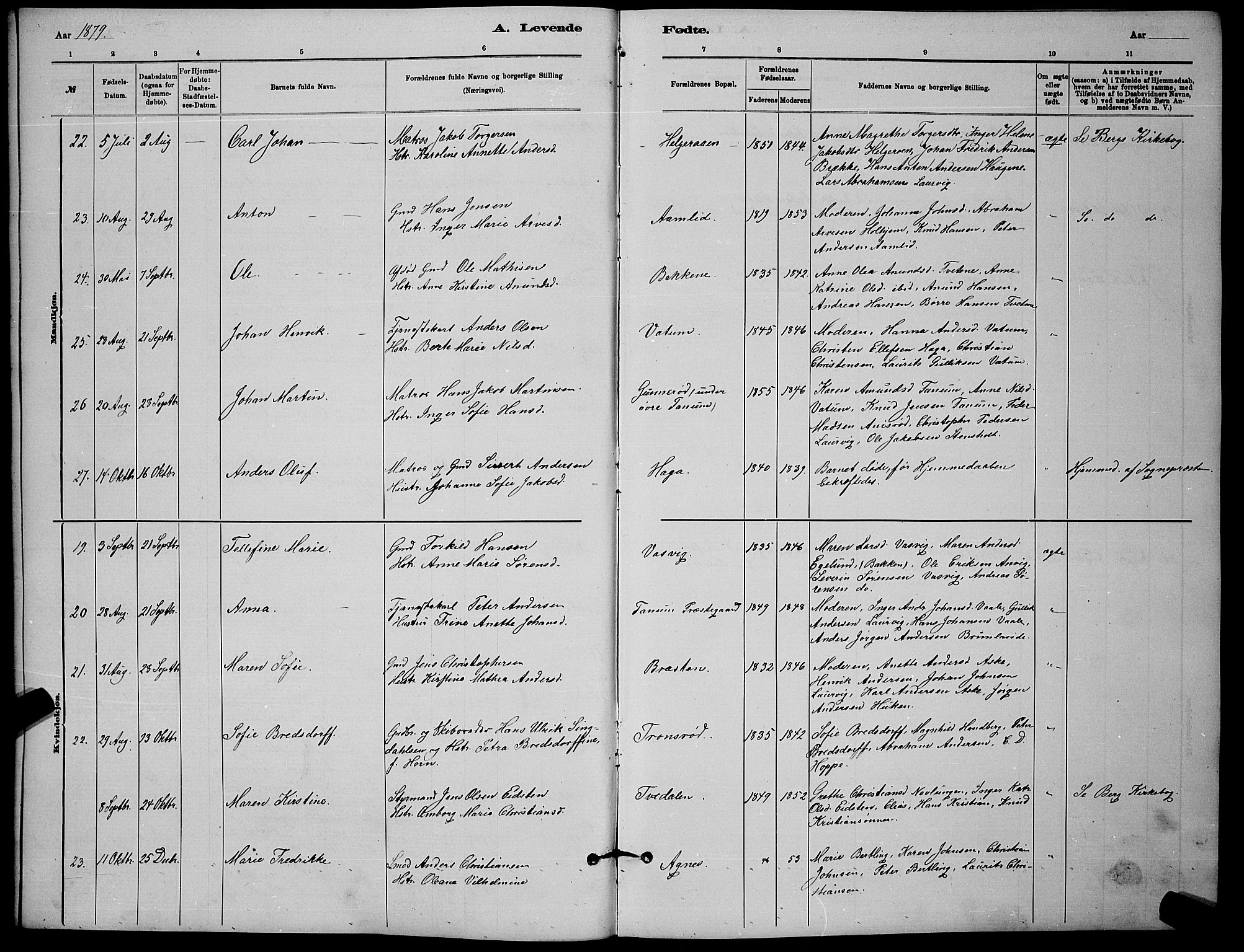 Brunlanes kirkebøker, SAKO/A-342/G/Ga/L0003: Parish register (copy) no. I 3, 1877-1898