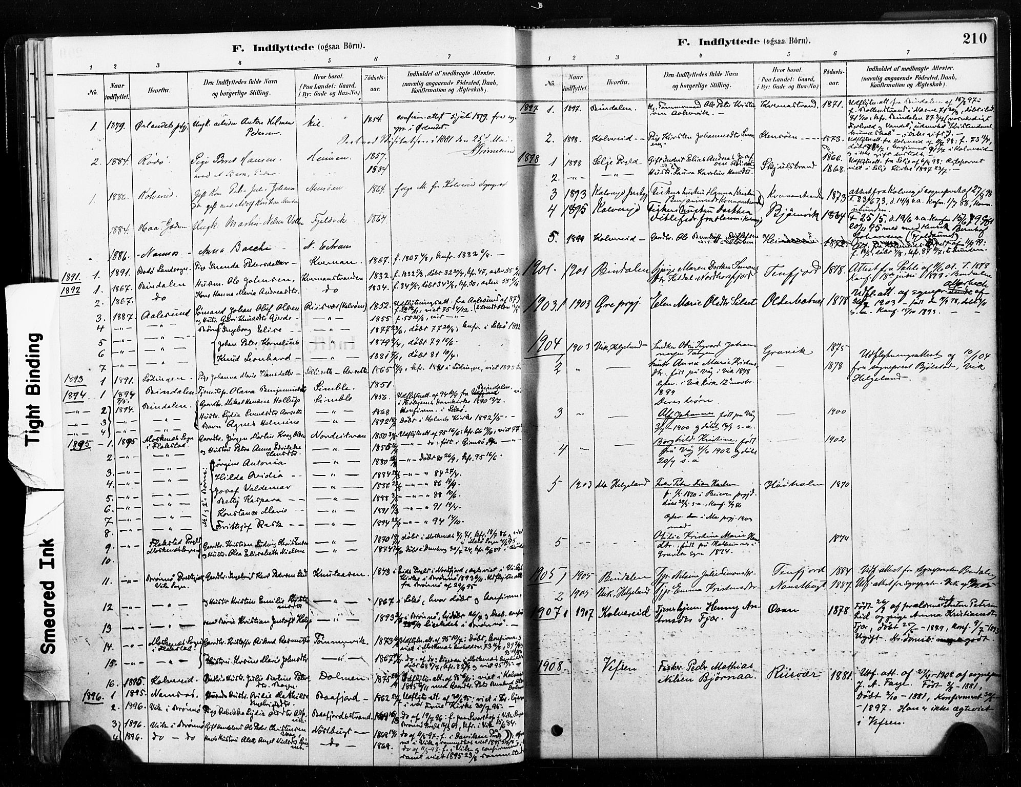 Ministerialprotokoller, klokkerbøker og fødselsregistre - Nord-Trøndelag, SAT/A-1458/789/L0705: Parish register (official) no. 789A01, 1878-1910, p. 210