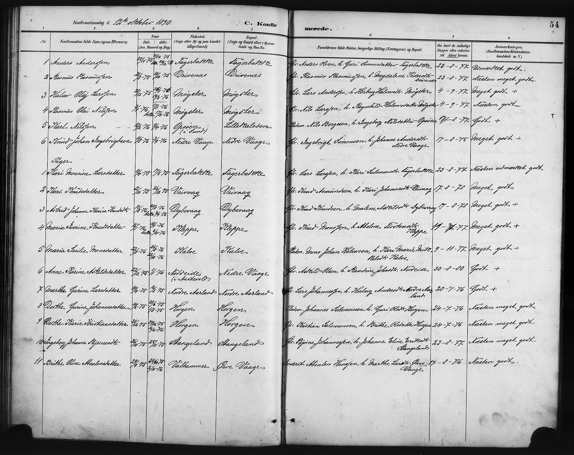 Austevoll Sokneprestembete, SAB/A-74201/H/Hab: Parish register (copy) no. B 4, 1889-1901, p. 54