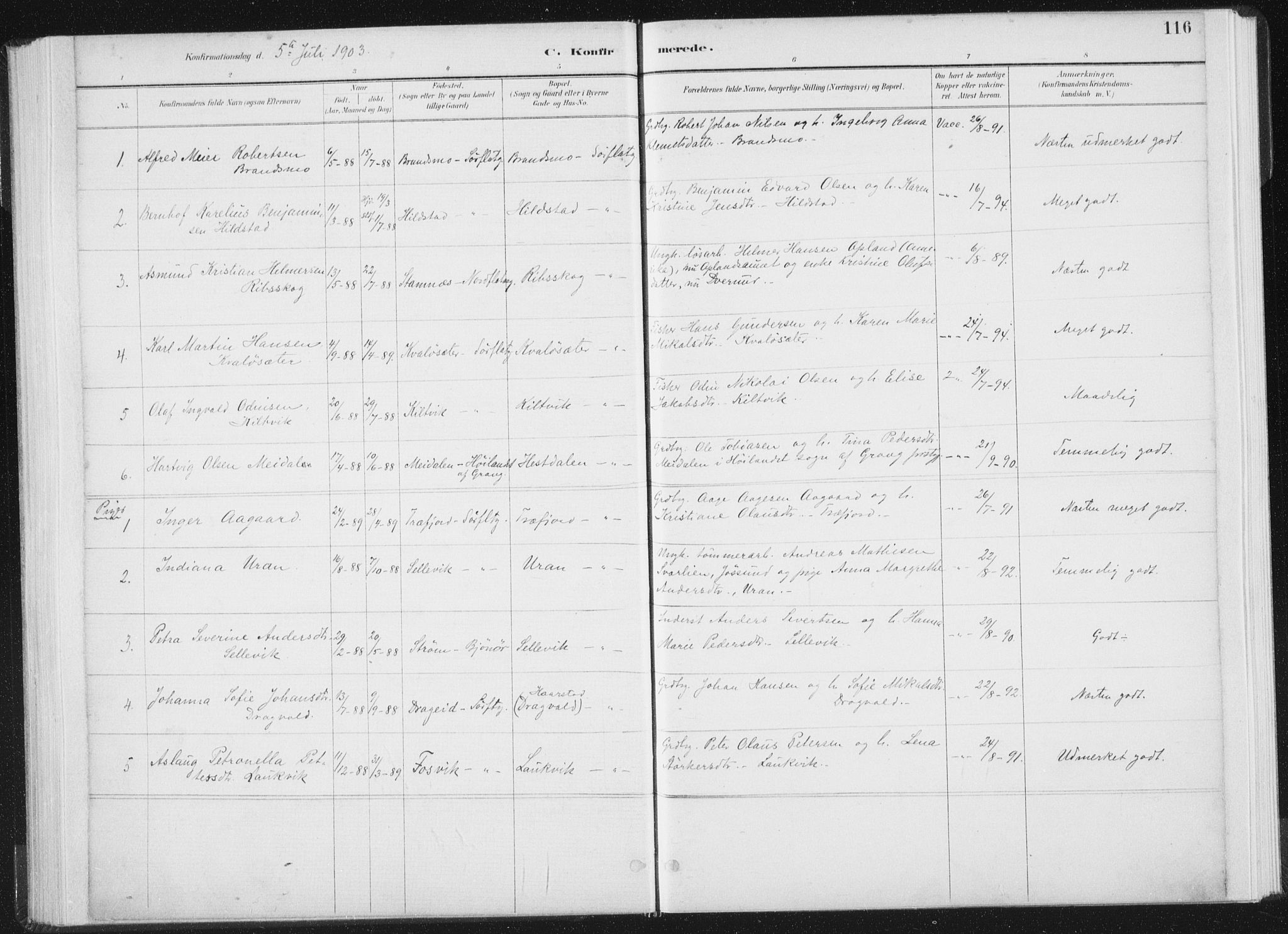 Ministerialprotokoller, klokkerbøker og fødselsregistre - Nord-Trøndelag, SAT/A-1458/771/L0597: Parish register (official) no. 771A04, 1885-1910, p. 116