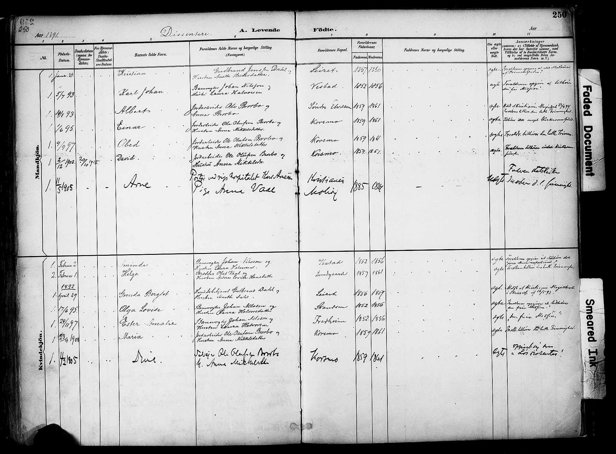 Elverum prestekontor, SAH/PREST-044/H/Ha/Haa/L0014: Parish register (official) no. 14, 1891-1909, p. 250