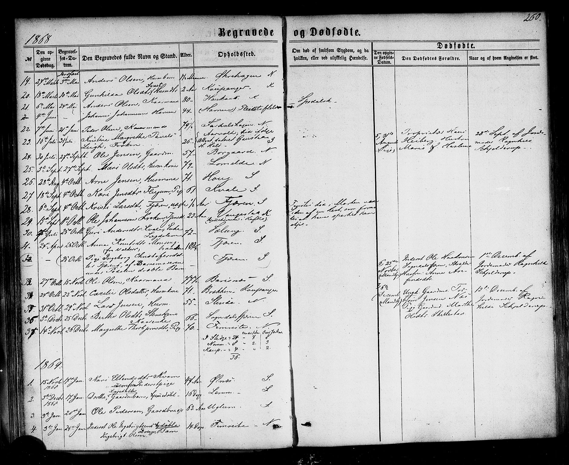 Sogndal sokneprestembete, SAB/A-81301/H/Haa/Haaa/L0013: Parish register (official) no. A 13, 1859-1877, p. 260
