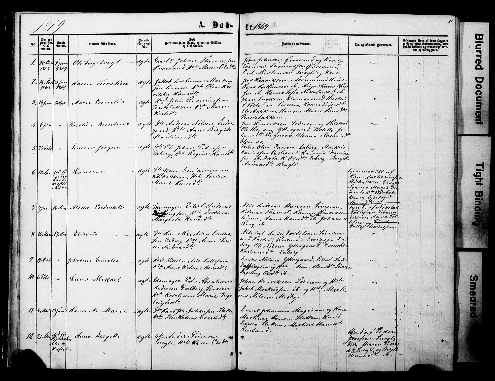 Ibestad sokneprestembete, SATØ/S-0077/H/Ha/Haa/L0013kirke: Parish register (official) no. 13, 1865-1879, p. 21