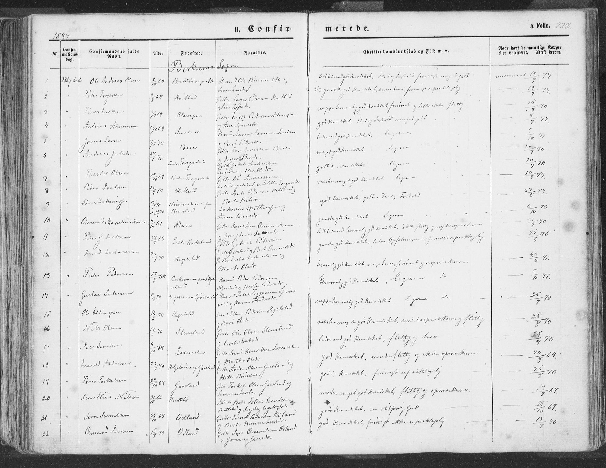 Helleland sokneprestkontor, SAST/A-101810: Parish register (official) no. A 7.1, 1863-1886, p. 228