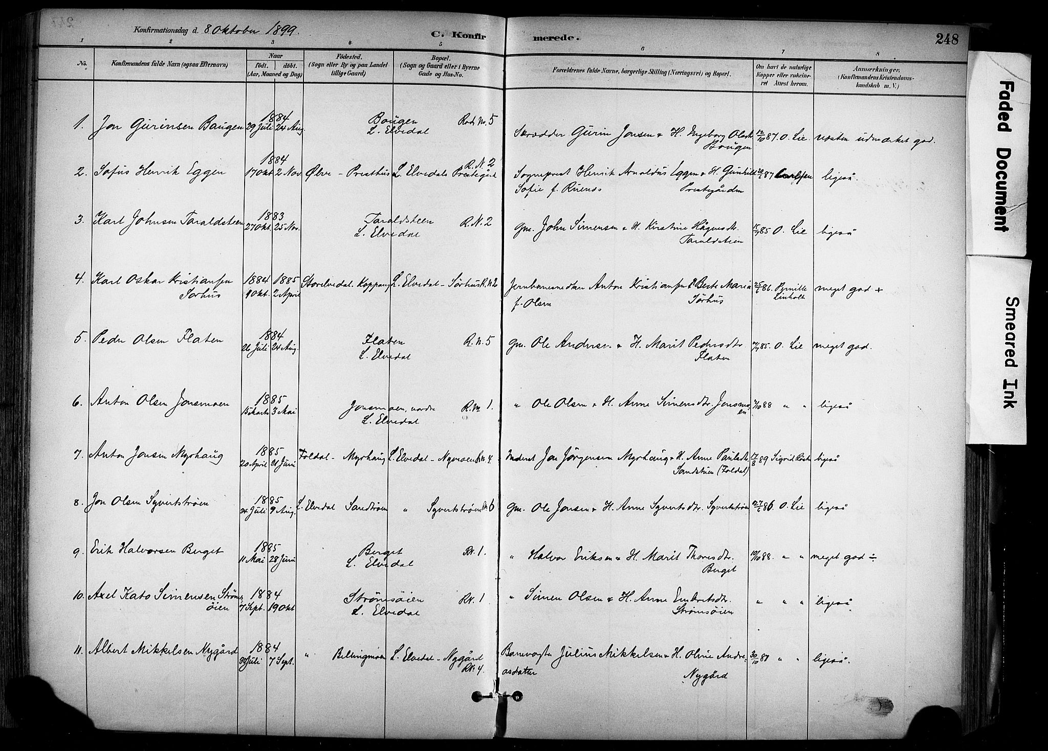 Alvdal prestekontor, SAH/PREST-060/H/Ha/Haa/L0002: Parish register (official) no. 2, 1883-1906, p. 248