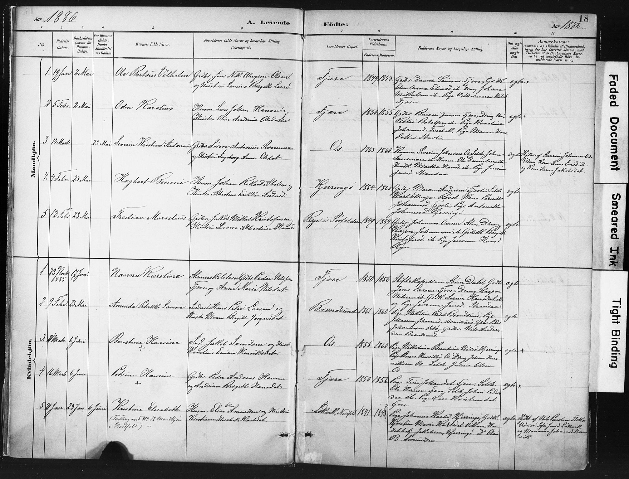 Ministerialprotokoller, klokkerbøker og fødselsregistre - Nordland, SAT/A-1459/803/L0071: Parish register (official) no. 803A01, 1881-1897, p. 18