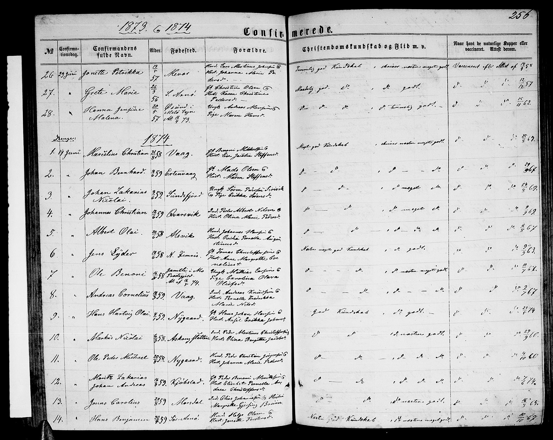 Ministerialprotokoller, klokkerbøker og fødselsregistre - Nordland, AV/SAT-A-1459/805/L0107: Parish register (copy) no. 805C03, 1862-1885, p. 256