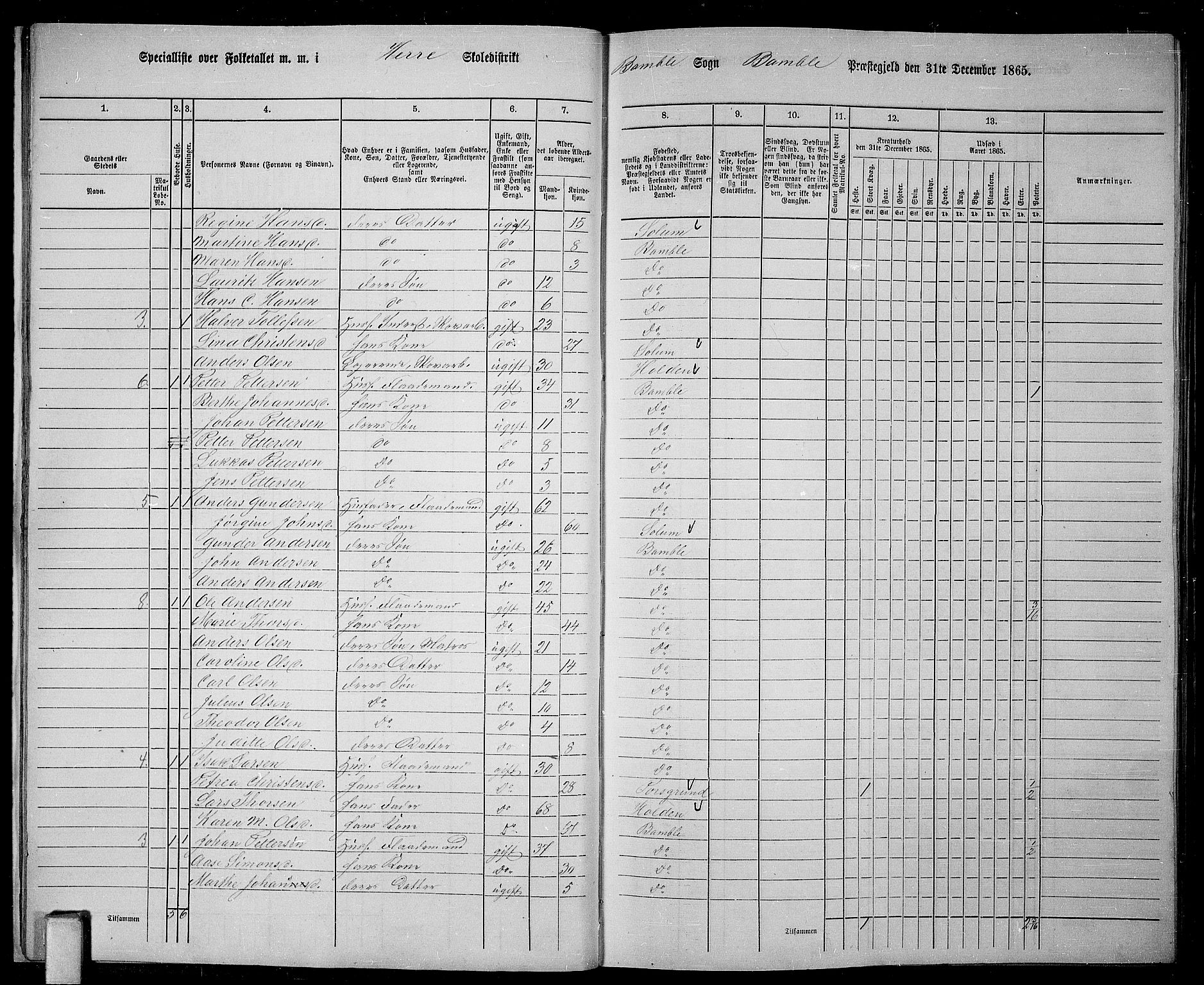 RA, 1865 census for Bamble, 1865, p. 18