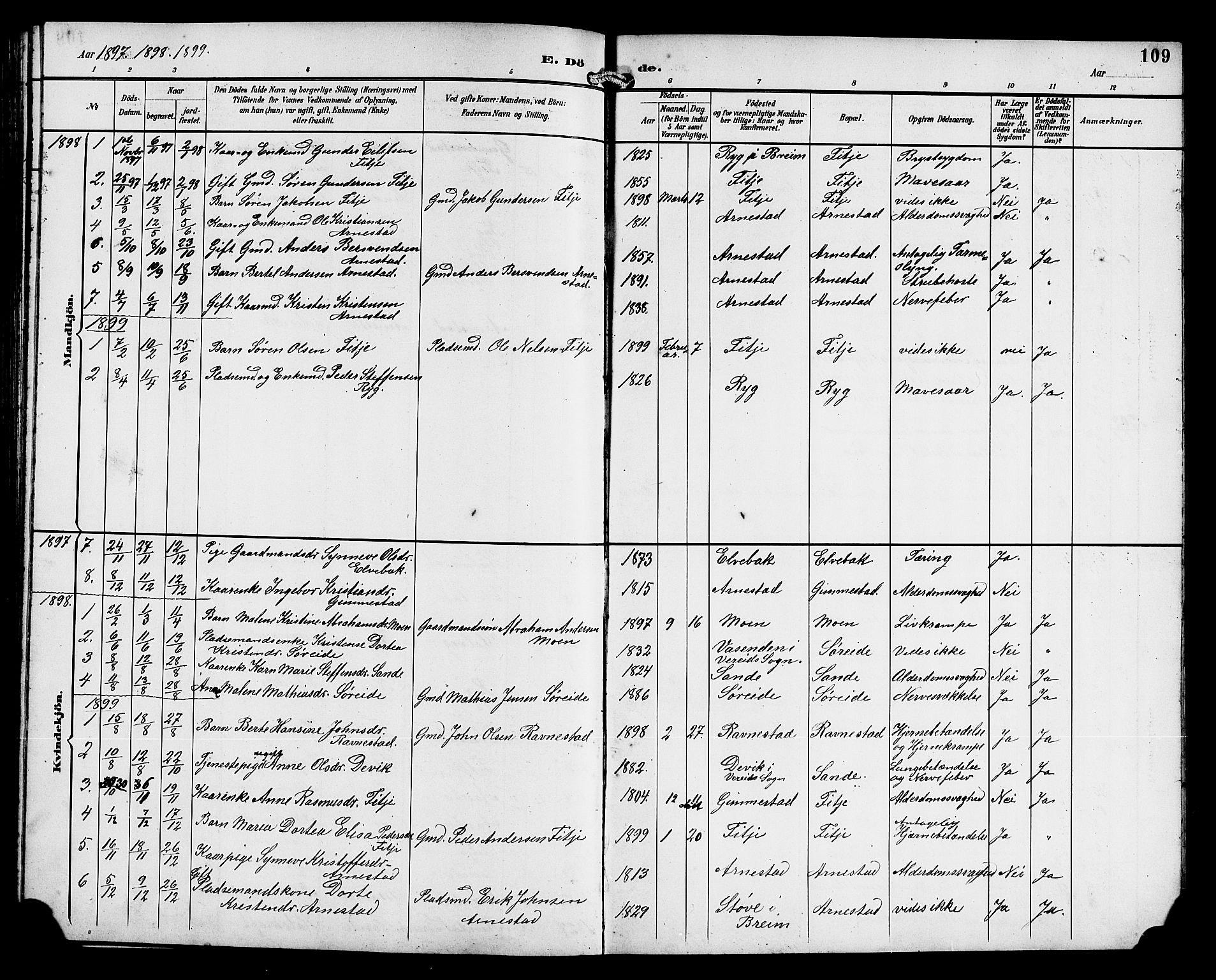 Gloppen sokneprestembete, AV/SAB-A-80101/H/Hab/Habd/L0001: Parish register (copy) no. D 1, 1892-1921, p. 109