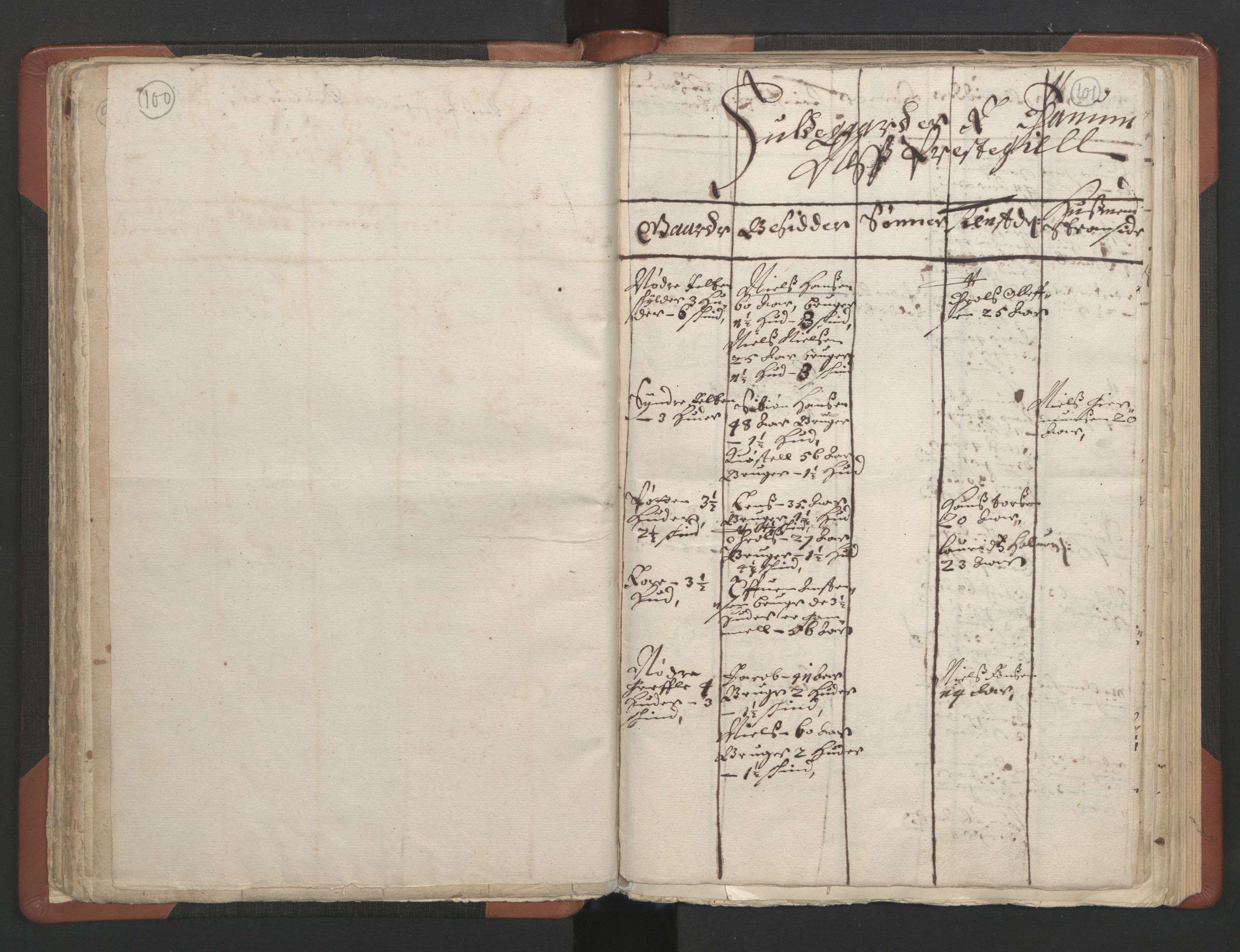 RA, Vicar's Census 1664-1666, no. 11: Brunlanes deanery, 1664-1666, p. 100-101