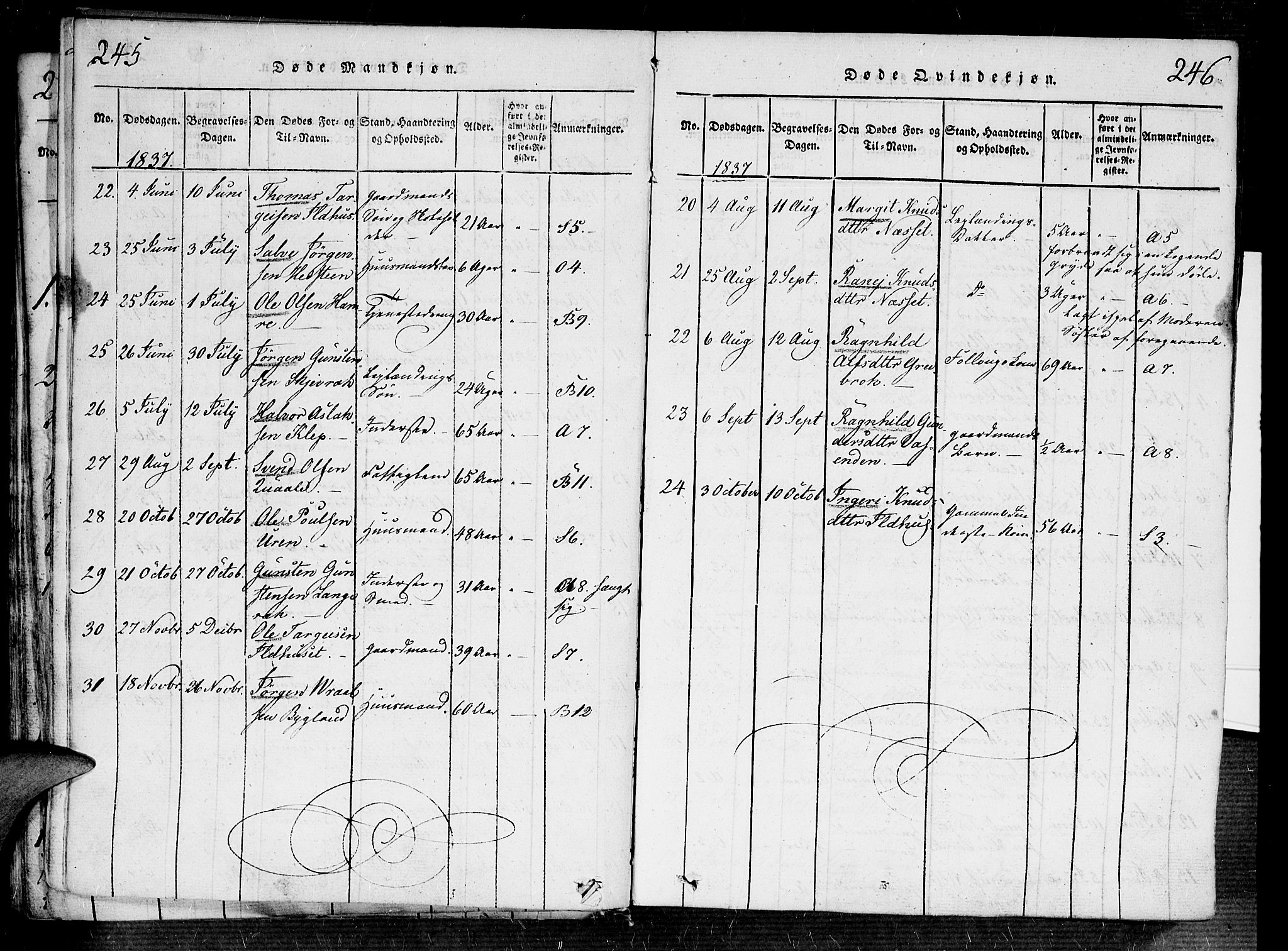 Bygland sokneprestkontor, SAK/1111-0006/F/Fa/Fab/L0003: Parish register (official) no. A 3, 1816-1841, p. 245-246