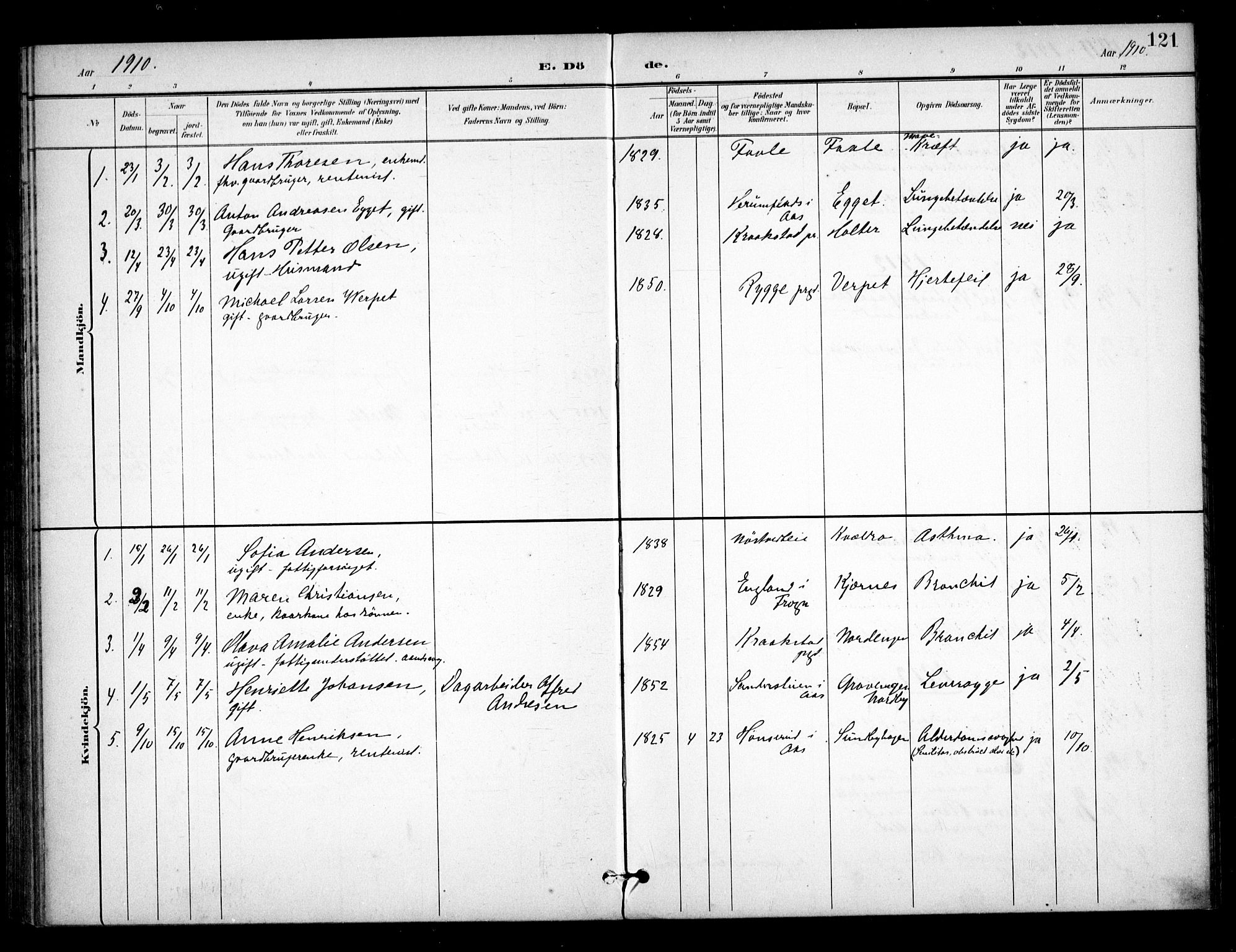 Ås prestekontor Kirkebøker, AV/SAO-A-10894/F/Fb/L0002: Parish register (official) no. II 2, 1895-1916, p. 121