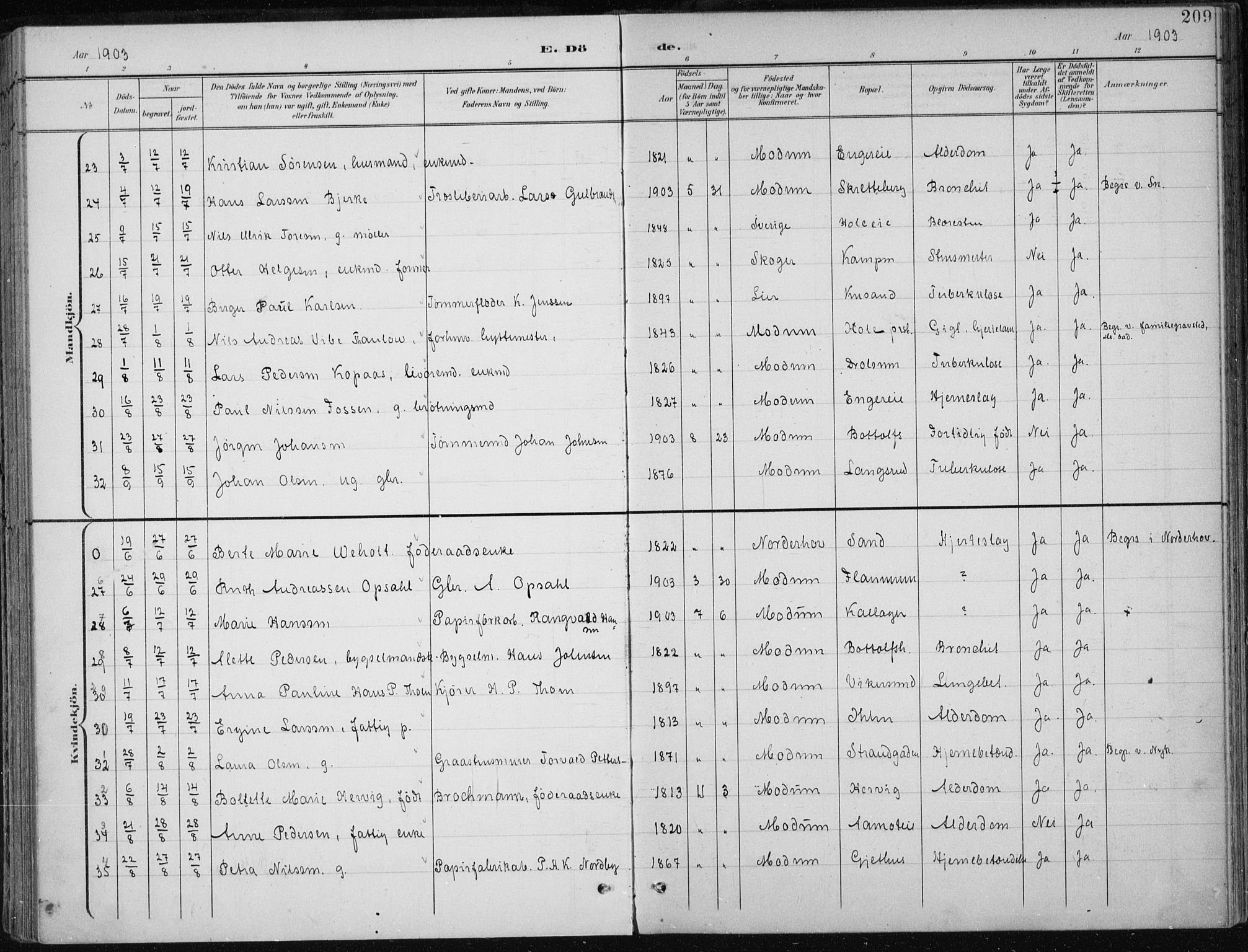 Modum kirkebøker, AV/SAKO-A-234/F/Fa/L0013: Parish register (official) no. 13, 1899-1907, p. 209