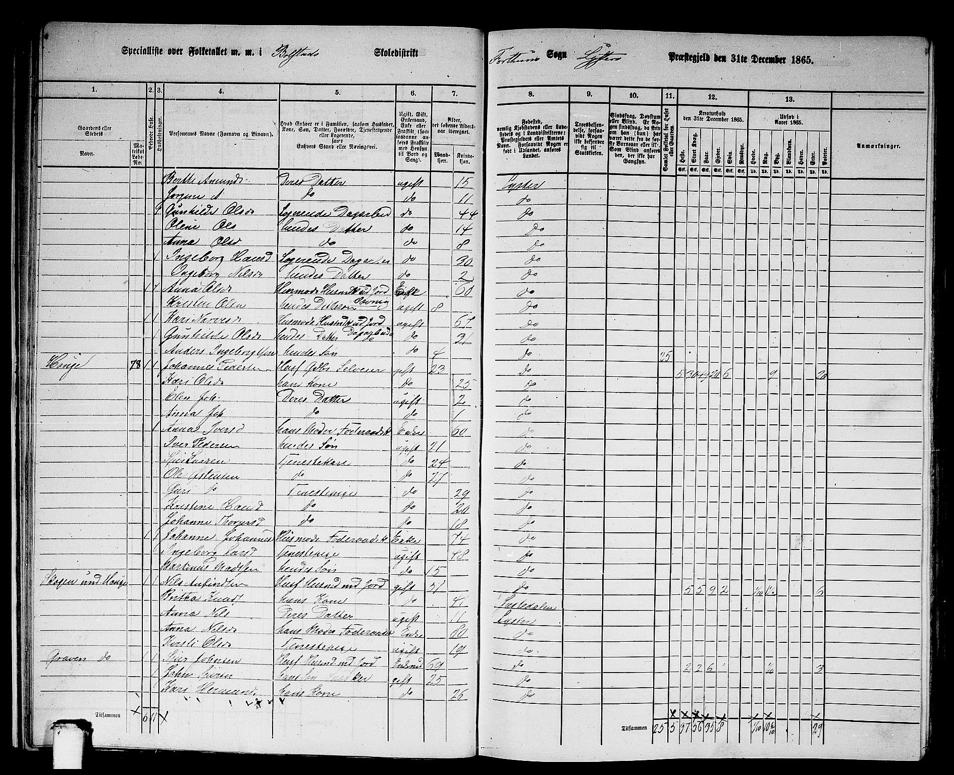 RA, 1865 census for Luster, 1865, p. 17