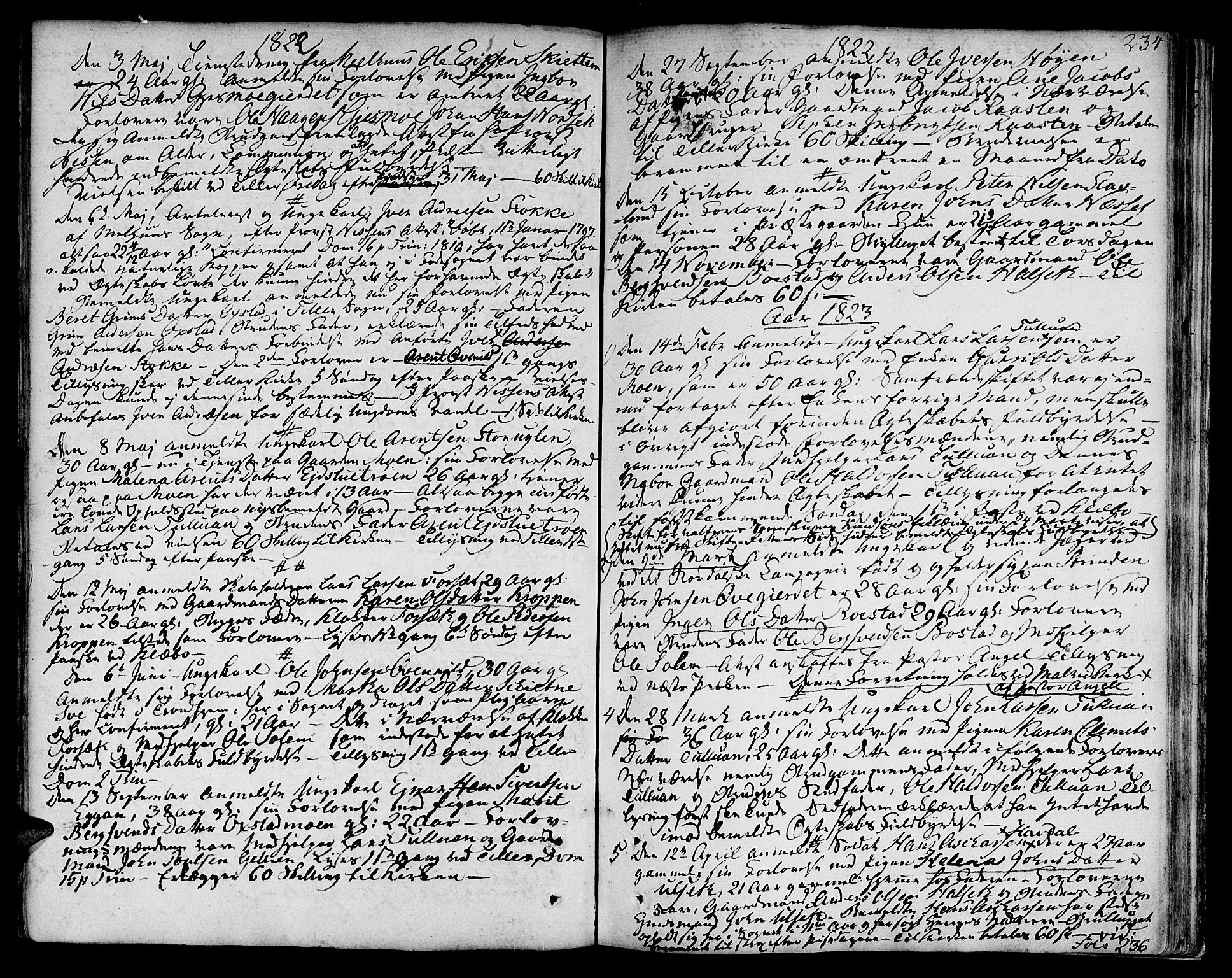 Ministerialprotokoller, klokkerbøker og fødselsregistre - Sør-Trøndelag, SAT/A-1456/618/L0438: Parish register (official) no. 618A03, 1783-1815, p. 234
