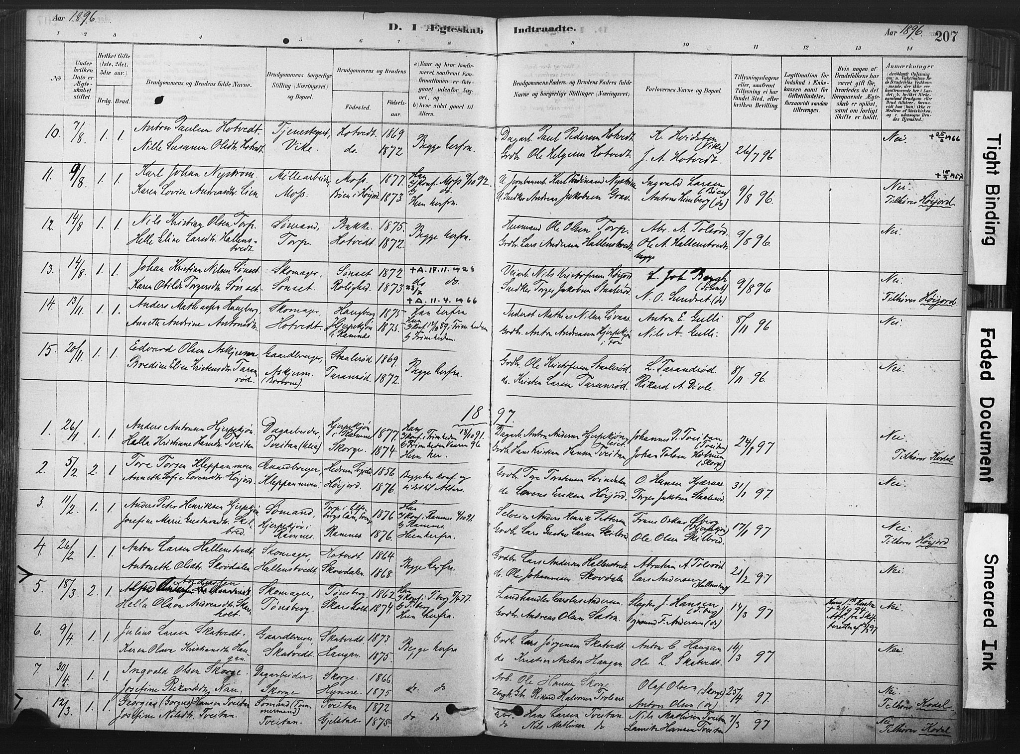Andebu kirkebøker, AV/SAKO-A-336/F/Fa/L0007: Parish register (official) no. I 7, 1878-1899, p. 207