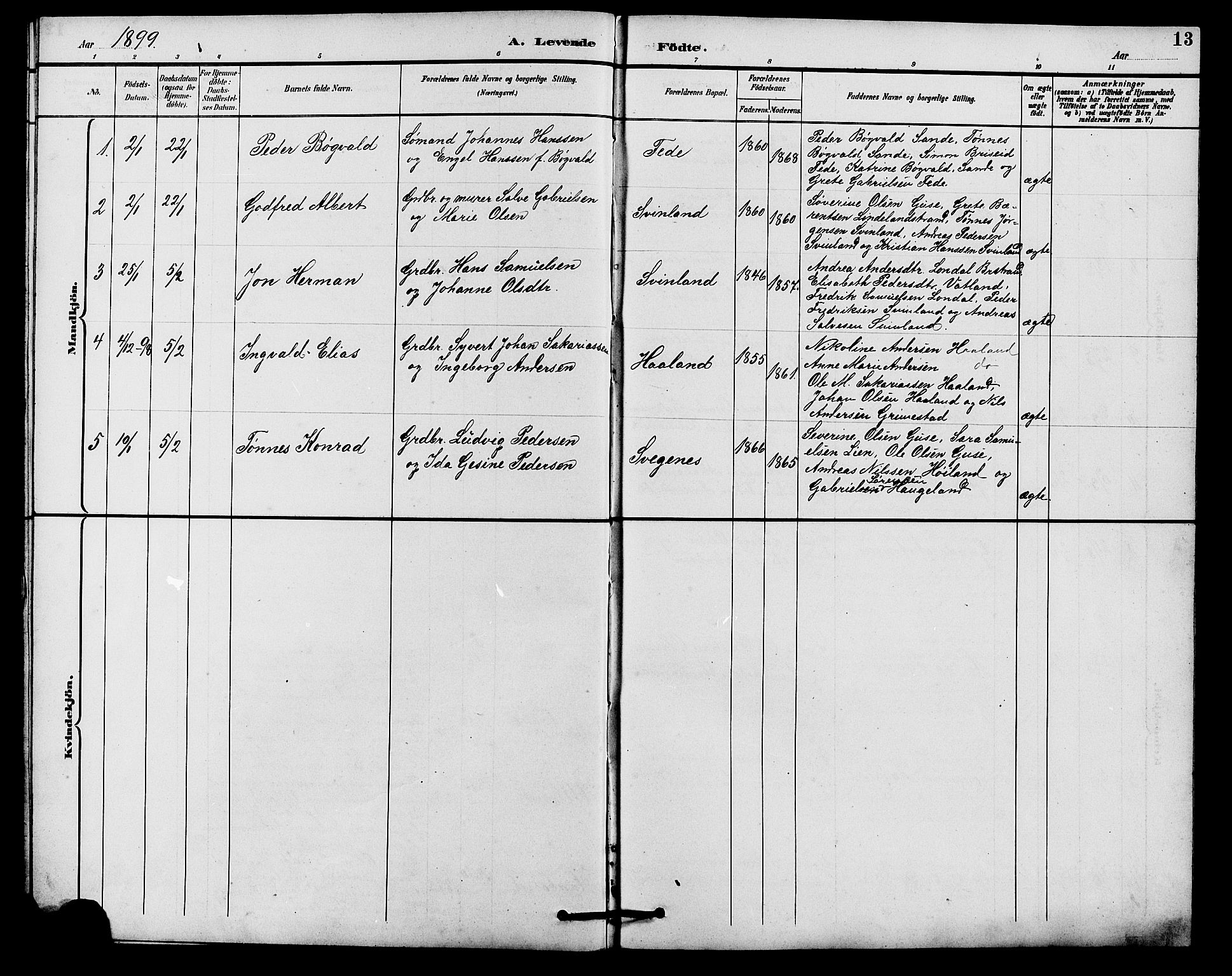 Kvinesdal sokneprestkontor, AV/SAK-1111-0026/F/Fb/Fba/L0004: Parish register (copy) no. B 4, 1894-1909, p. 13