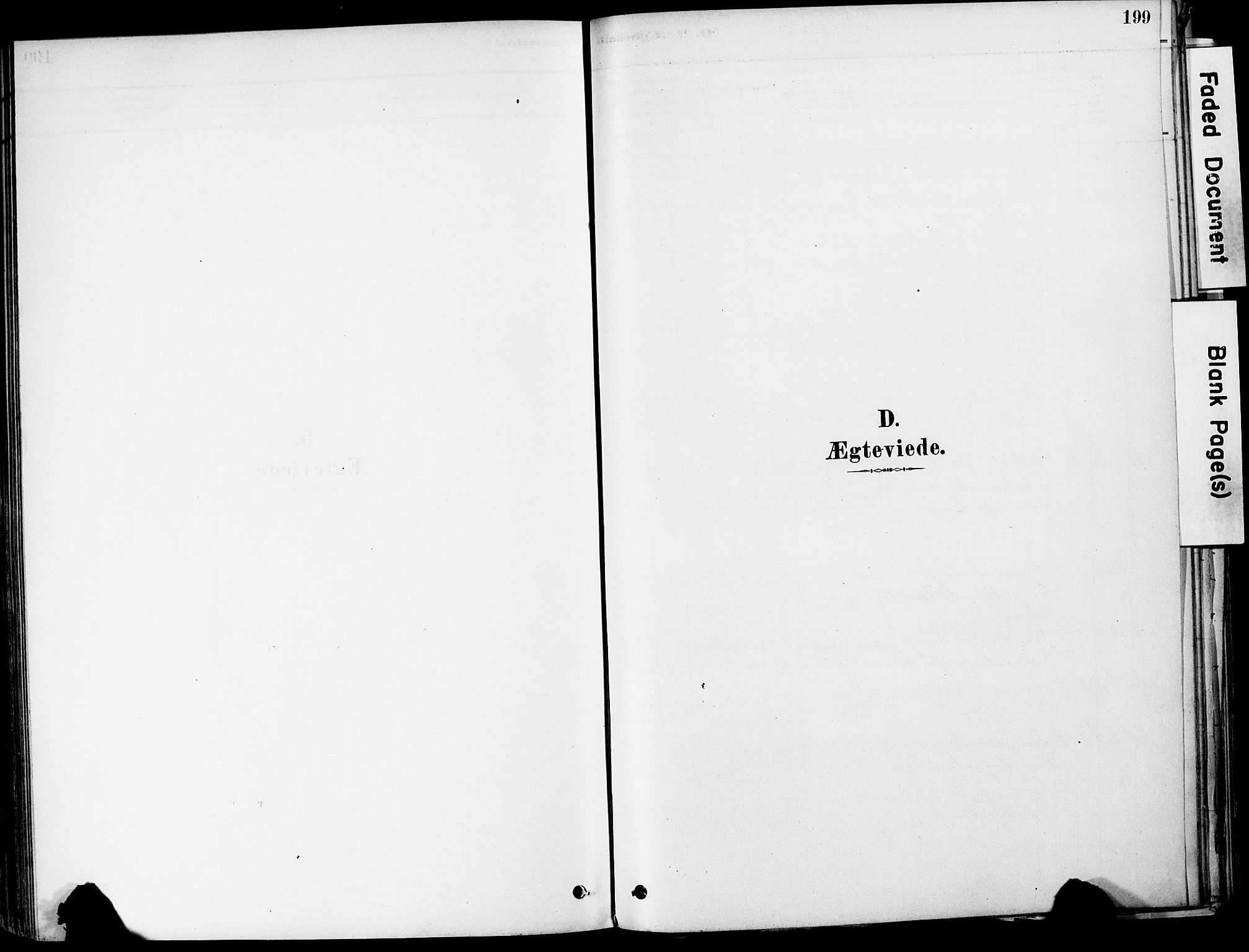 Strømm kirkebøker, AV/SAKO-A-322/F/Fa/L0004: Parish register (official) no. I 4, 1878-1899, p. 199