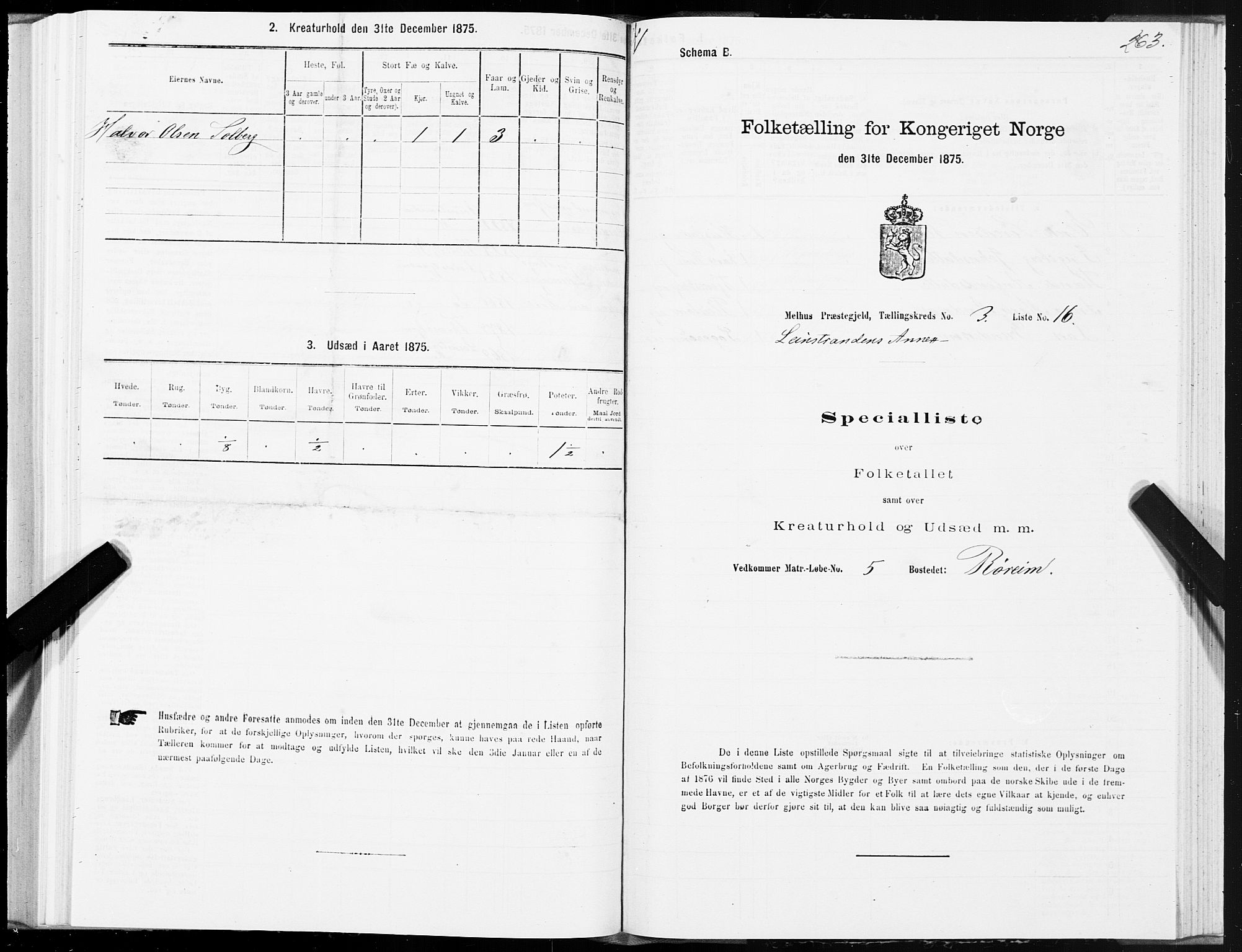 SAT, 1875 census for 1653P Melhus, 1875, p. 8263