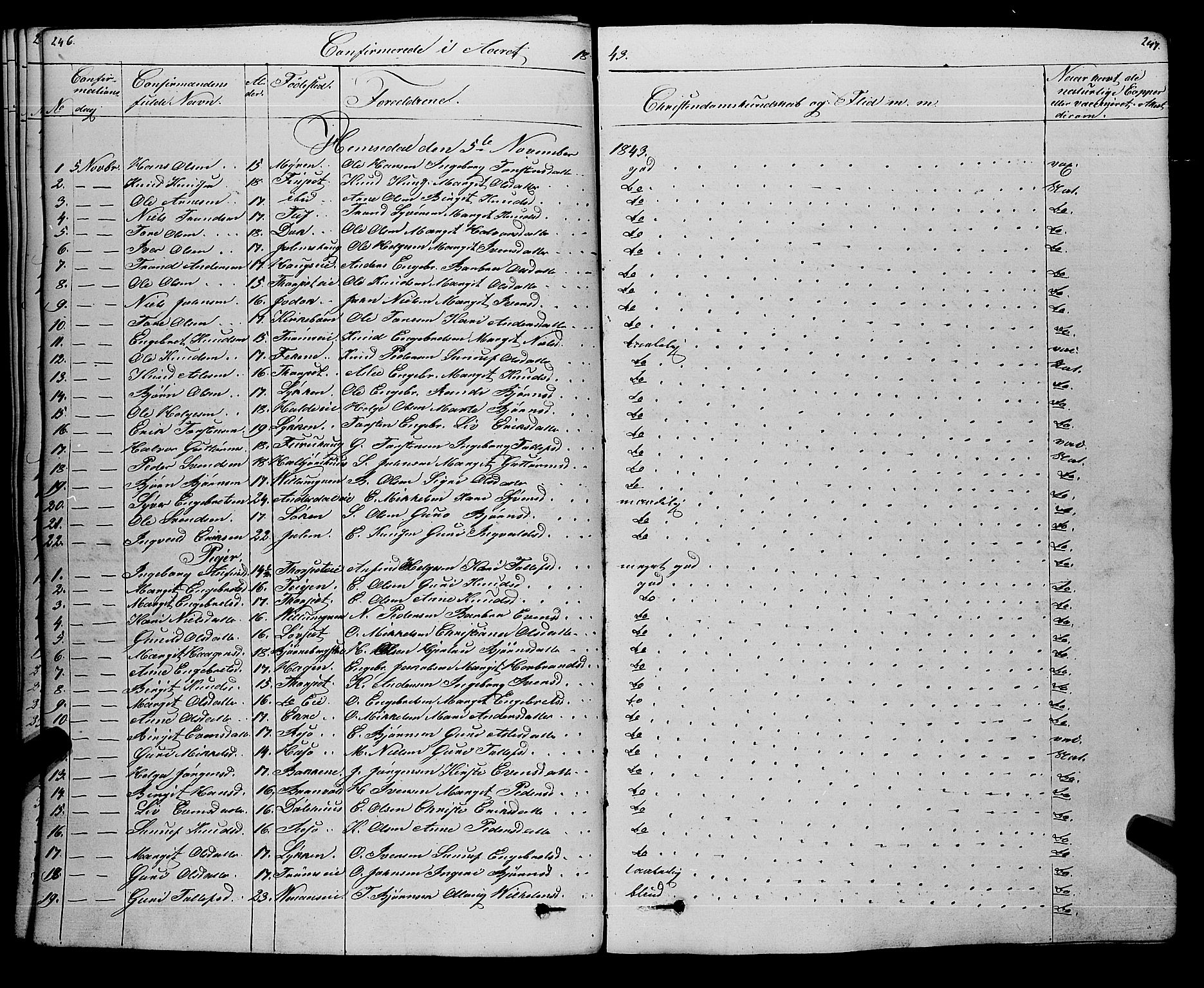 Gol kirkebøker, SAKO/A-226/F/Fa/L0002: Parish register (official) no. I 2, 1837-1863, p. 246-247