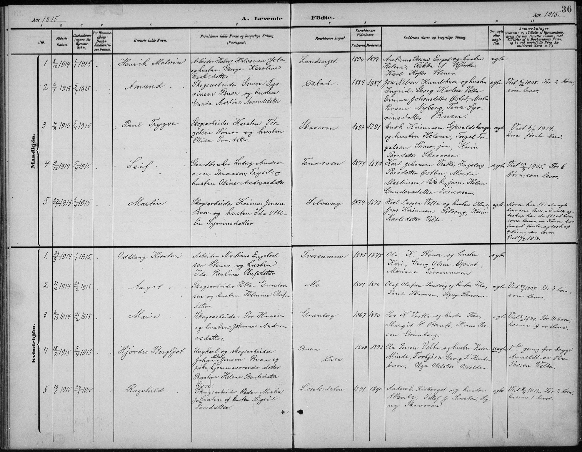 Åmot prestekontor, Hedmark, AV/SAH-PREST-056/H/Ha/Hab/L0003: Parish register (copy) no. 3, 1902-1938, p. 36