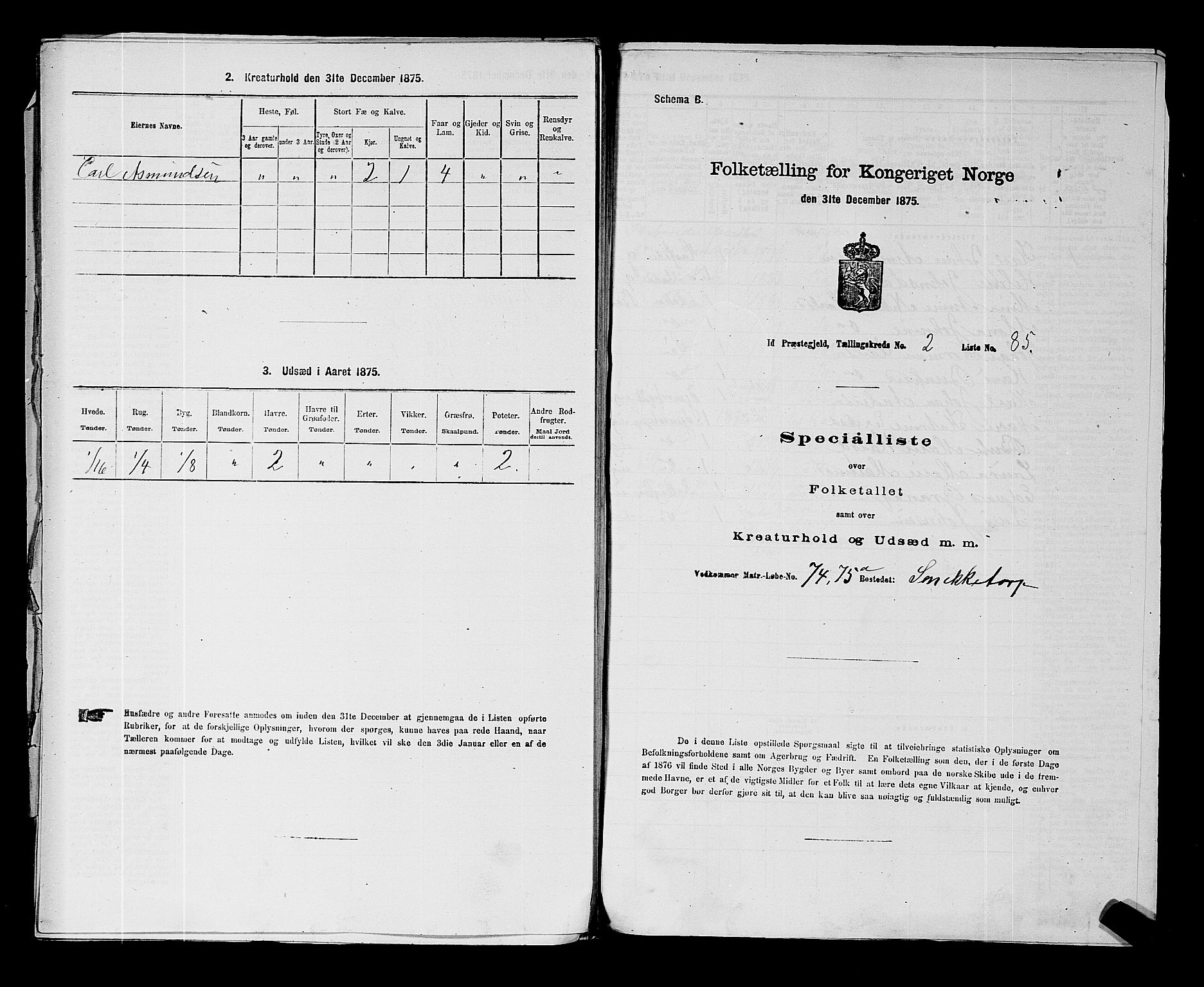 RA, 1875 census for 0117P Idd, 1875, p. 396
