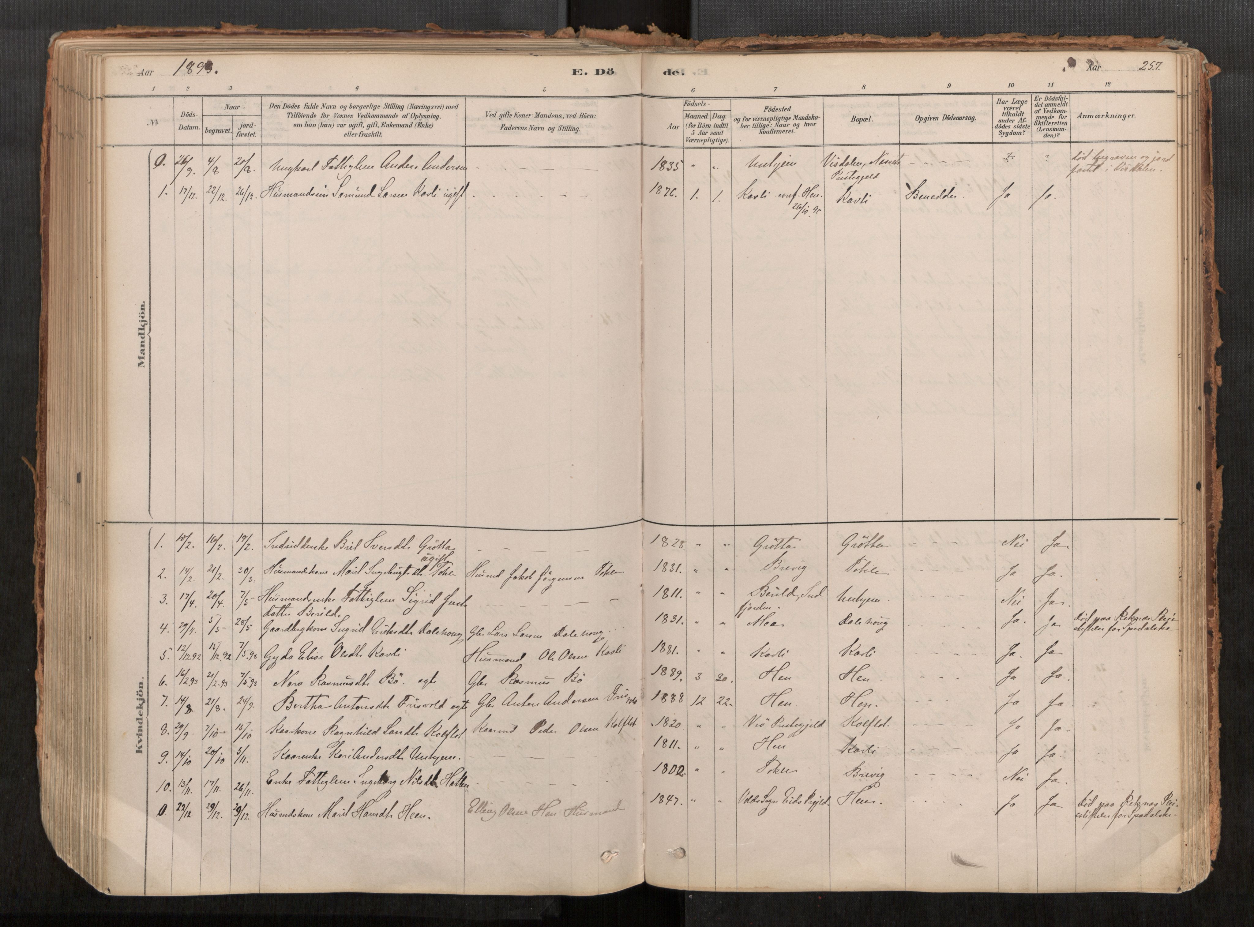 Ministerialprotokoller, klokkerbøker og fødselsregistre - Møre og Romsdal, AV/SAT-A-1454/545/L0594: Parish register (official) no. 545A03, 1878-1920, p. 257