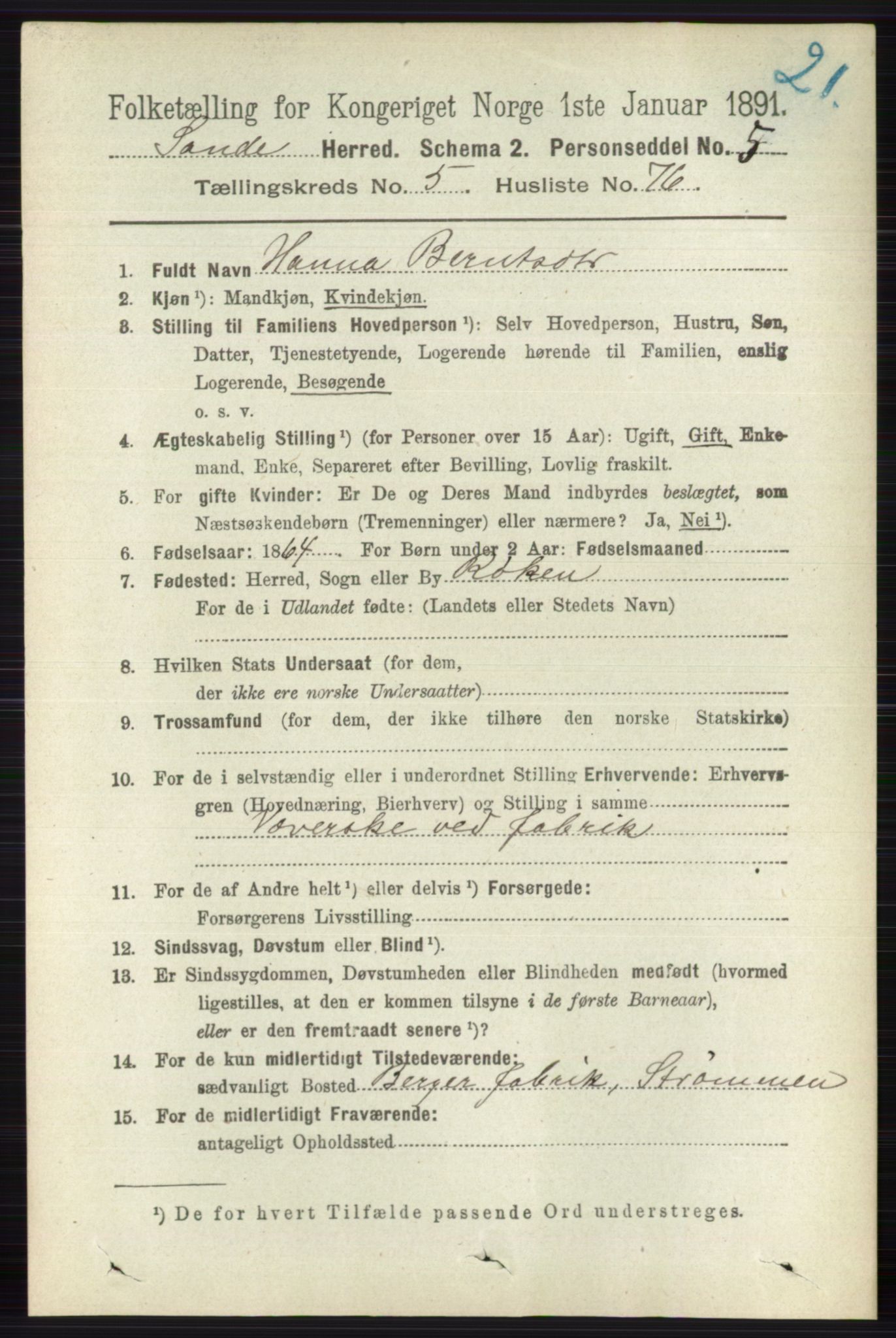 RA, 1891 census for 0713 Sande, 1891, p. 2605