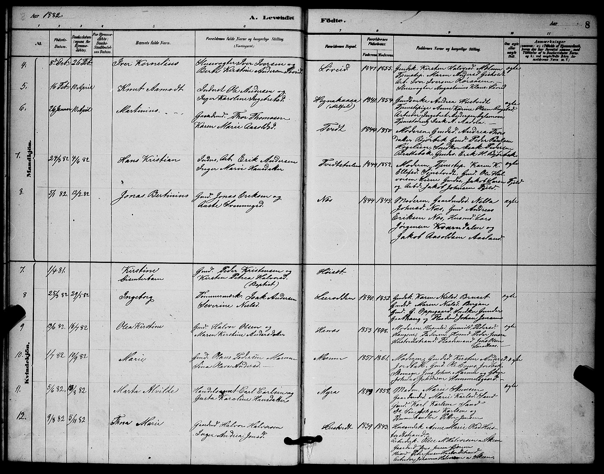 Solum kirkebøker, AV/SAKO-A-306/G/Gb/L0003: Parish register (copy) no. II 3, 1880-1898, p. 8