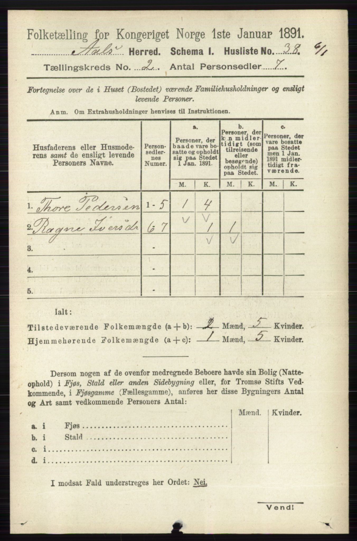 RA, 1891 census for 0619 Ål, 1891, p. 369