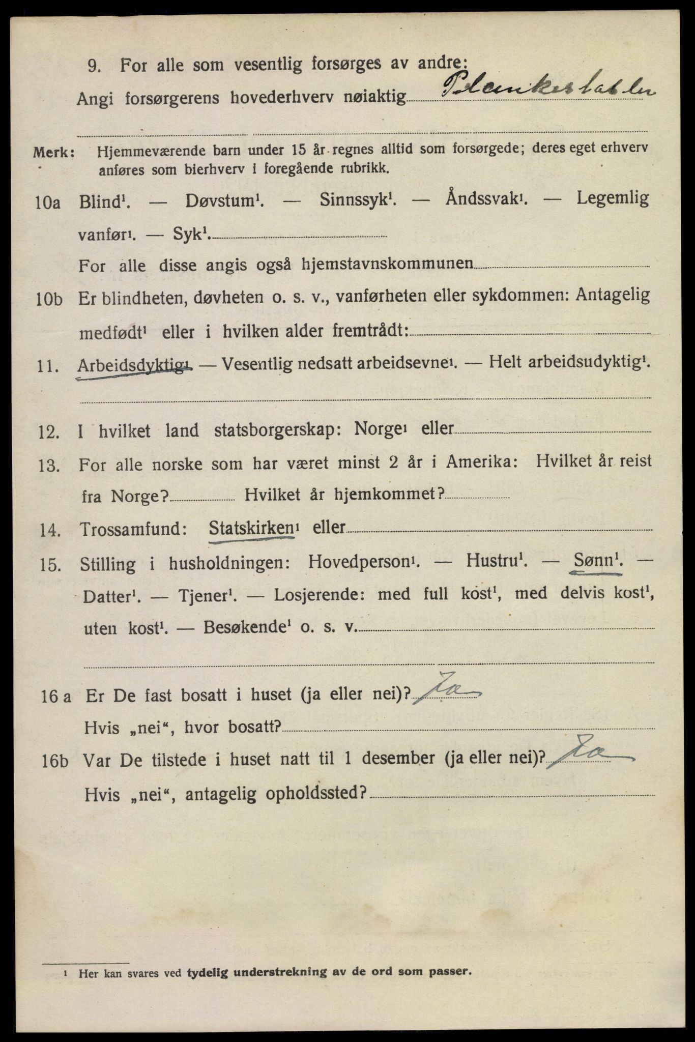 SAKO, 1920 census for Larvik, 1920, p. 25563