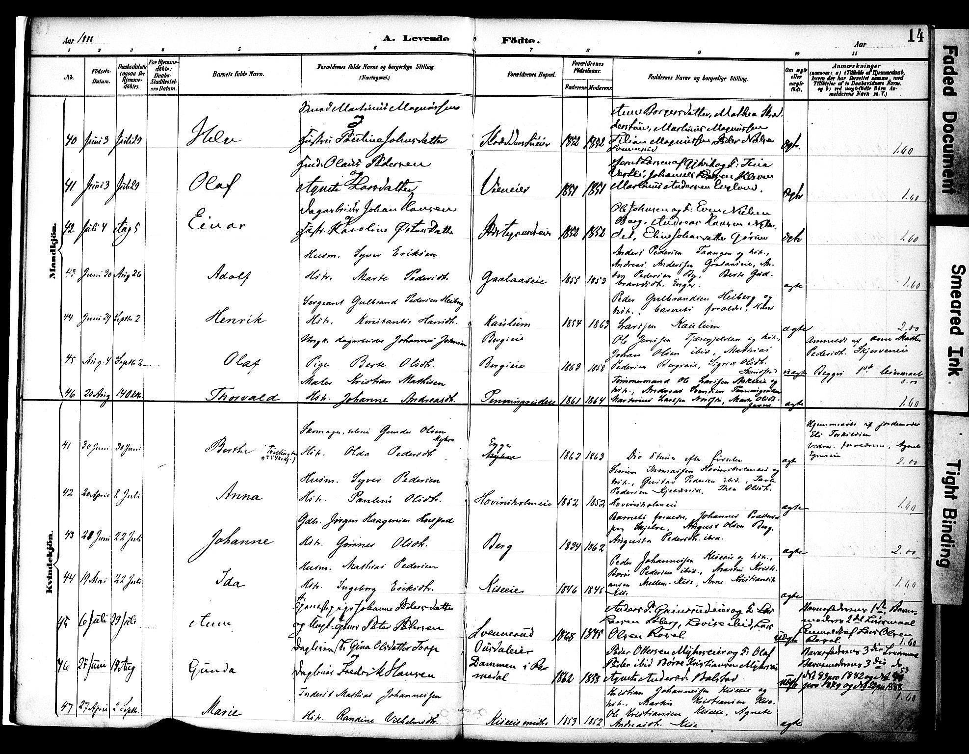 Nes prestekontor, Hedmark, AV/SAH-PREST-020/K/Ka/L0009: Parish register (official) no. 9, 1887-1905, p. 14