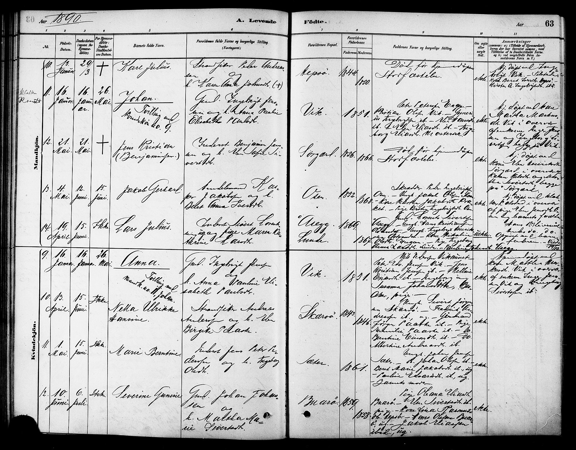 Ministerialprotokoller, klokkerbøker og fødselsregistre - Sør-Trøndelag, AV/SAT-A-1456/658/L0722: Parish register (official) no. 658A01, 1879-1896, p. 63