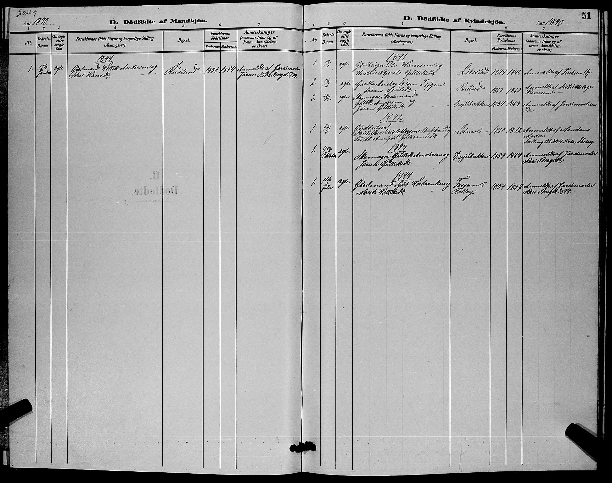 Flesberg kirkebøker, SAKO/A-18/G/Ga/L0004: Parish register (copy) no. I 4 /1, 1890-1898, p. 51